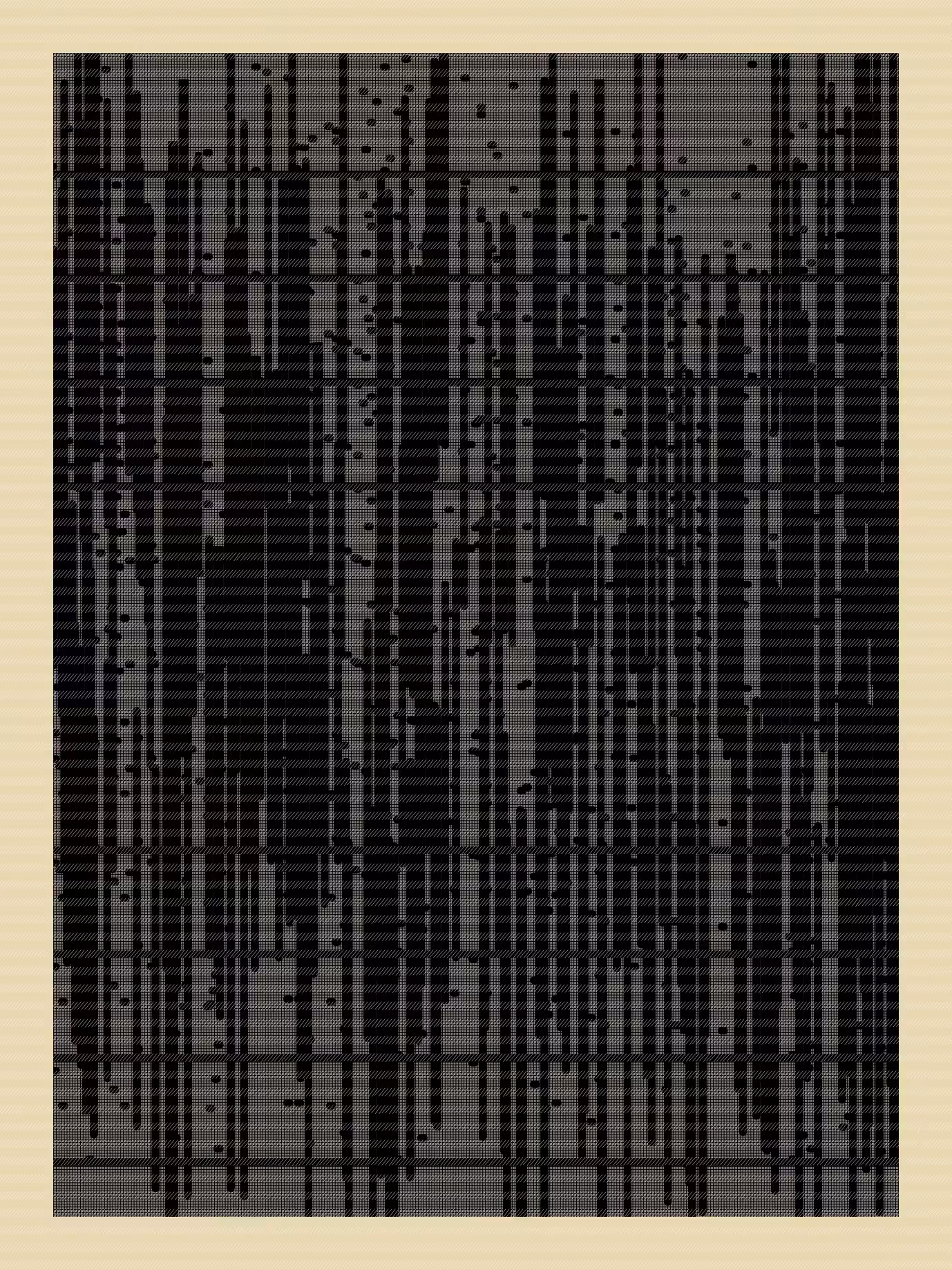 N01ZE GR1D #163
