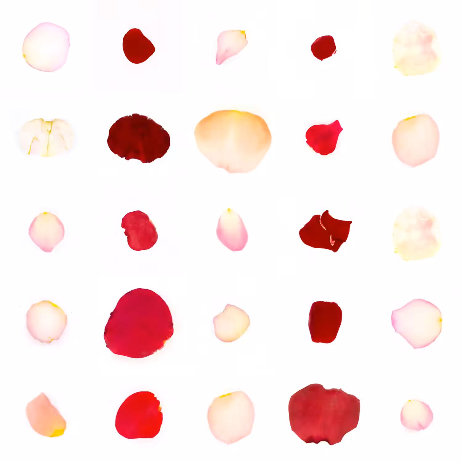 Infinite Petals 5x5#20279