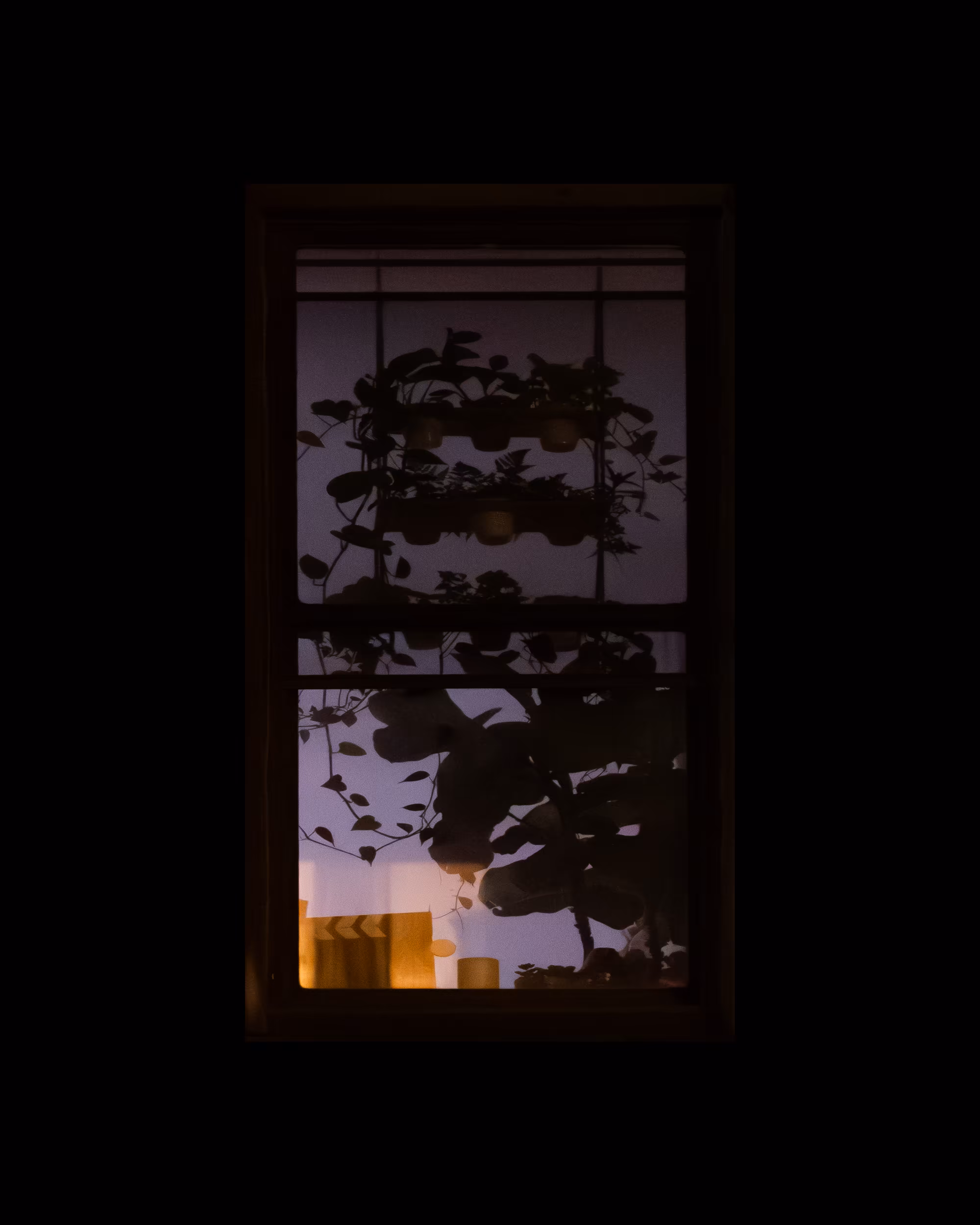 WINDOWS // NYC: WINDOW 364