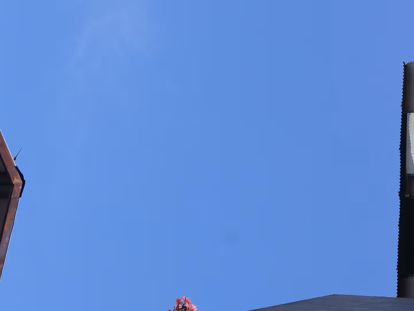 Blue Screen #29