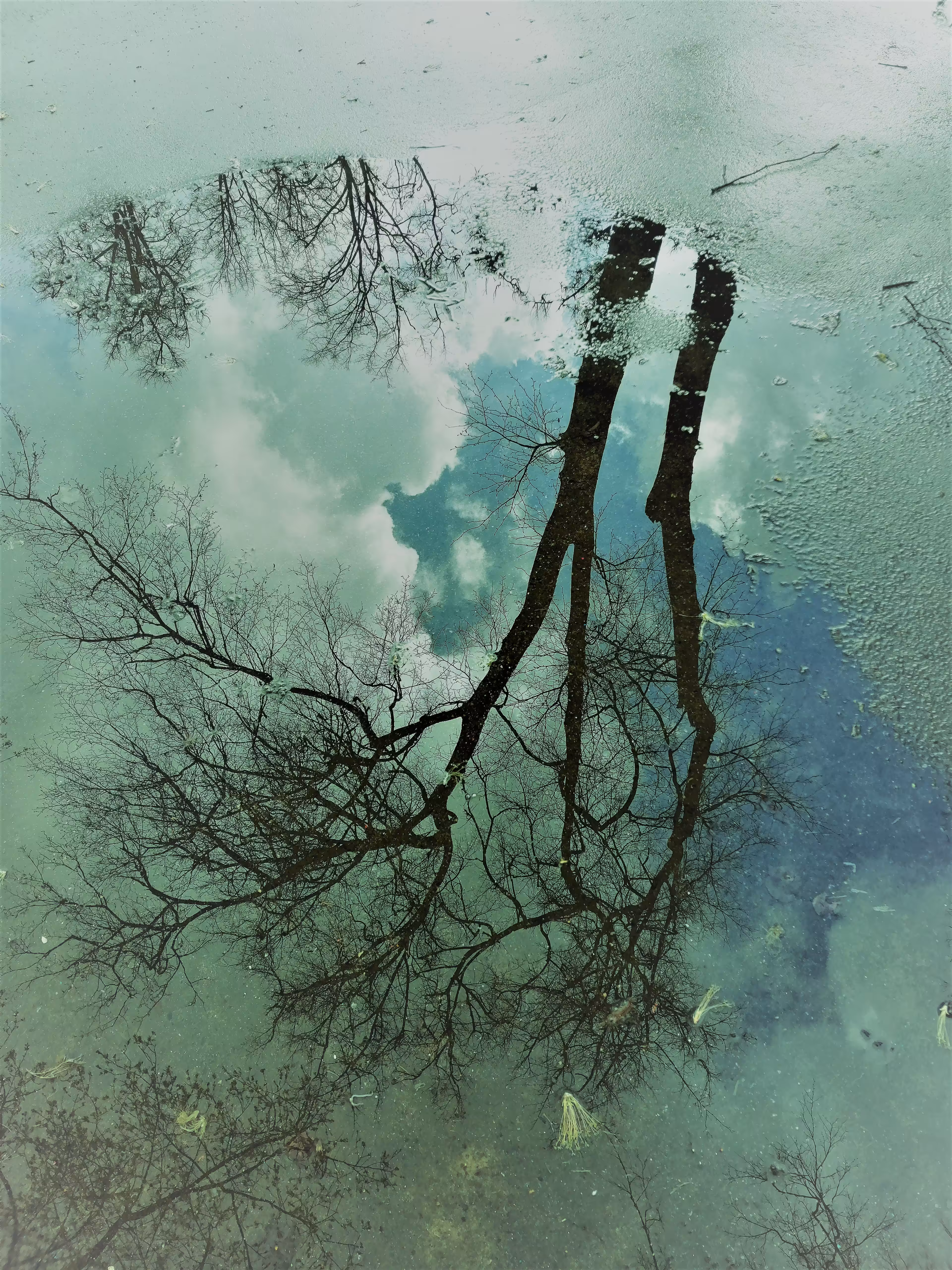 The Magic Puddle