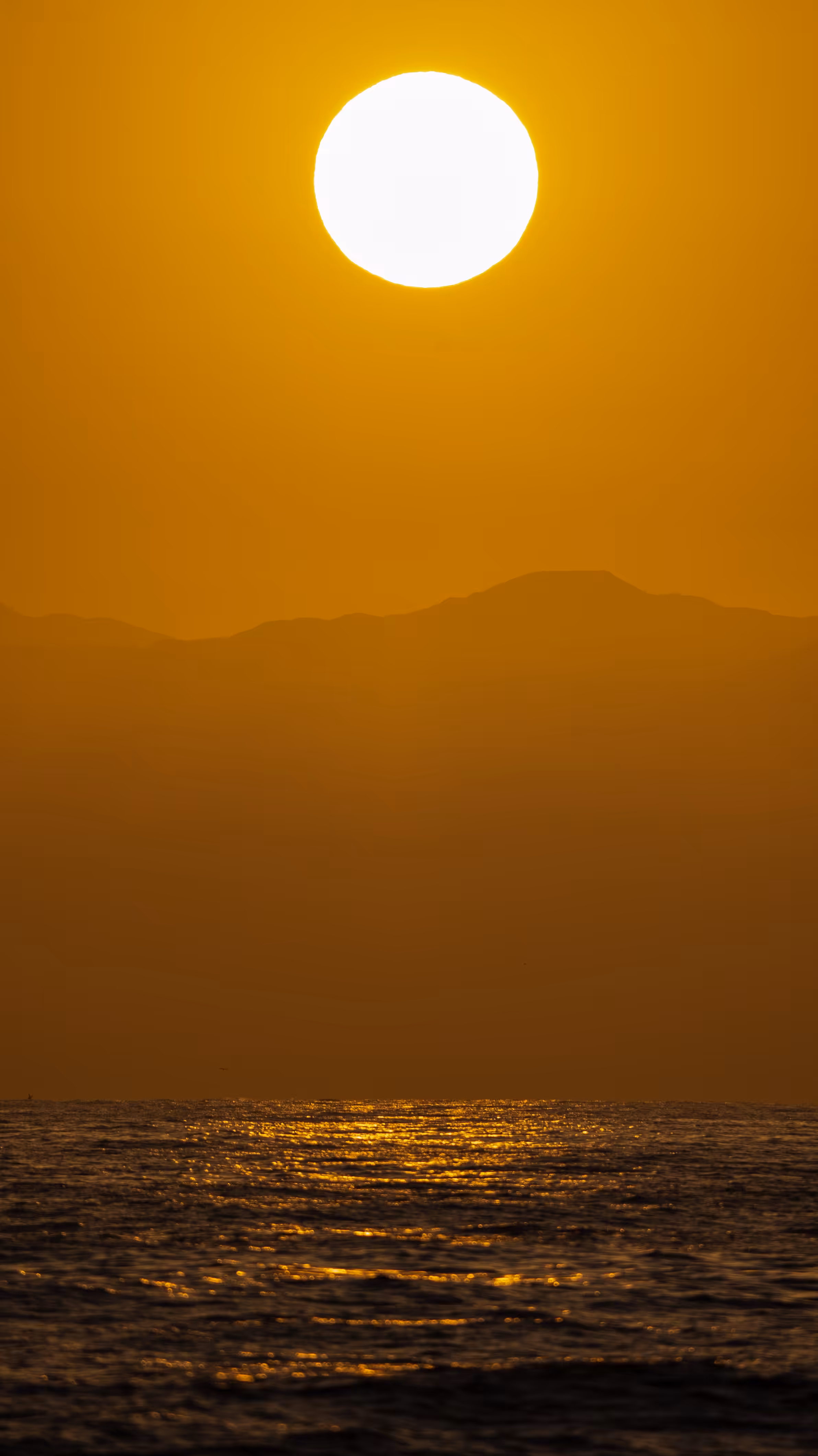 May 1, 2021 / Digital Venice Sunset