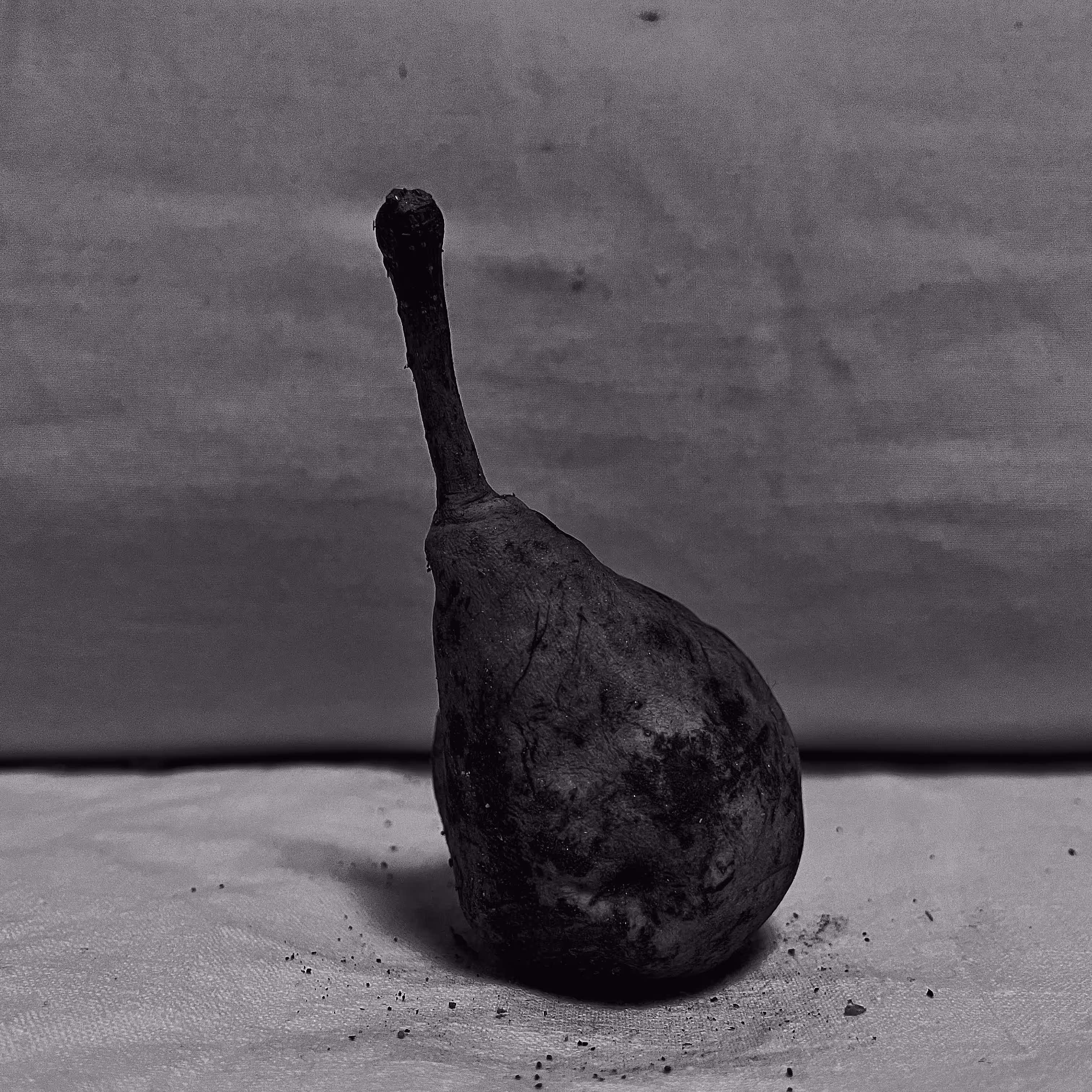 The Wild Pear World.
