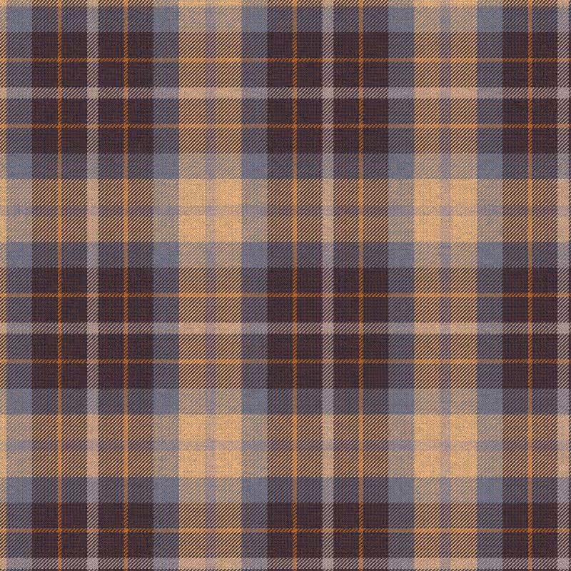 Tartan Cloth #14