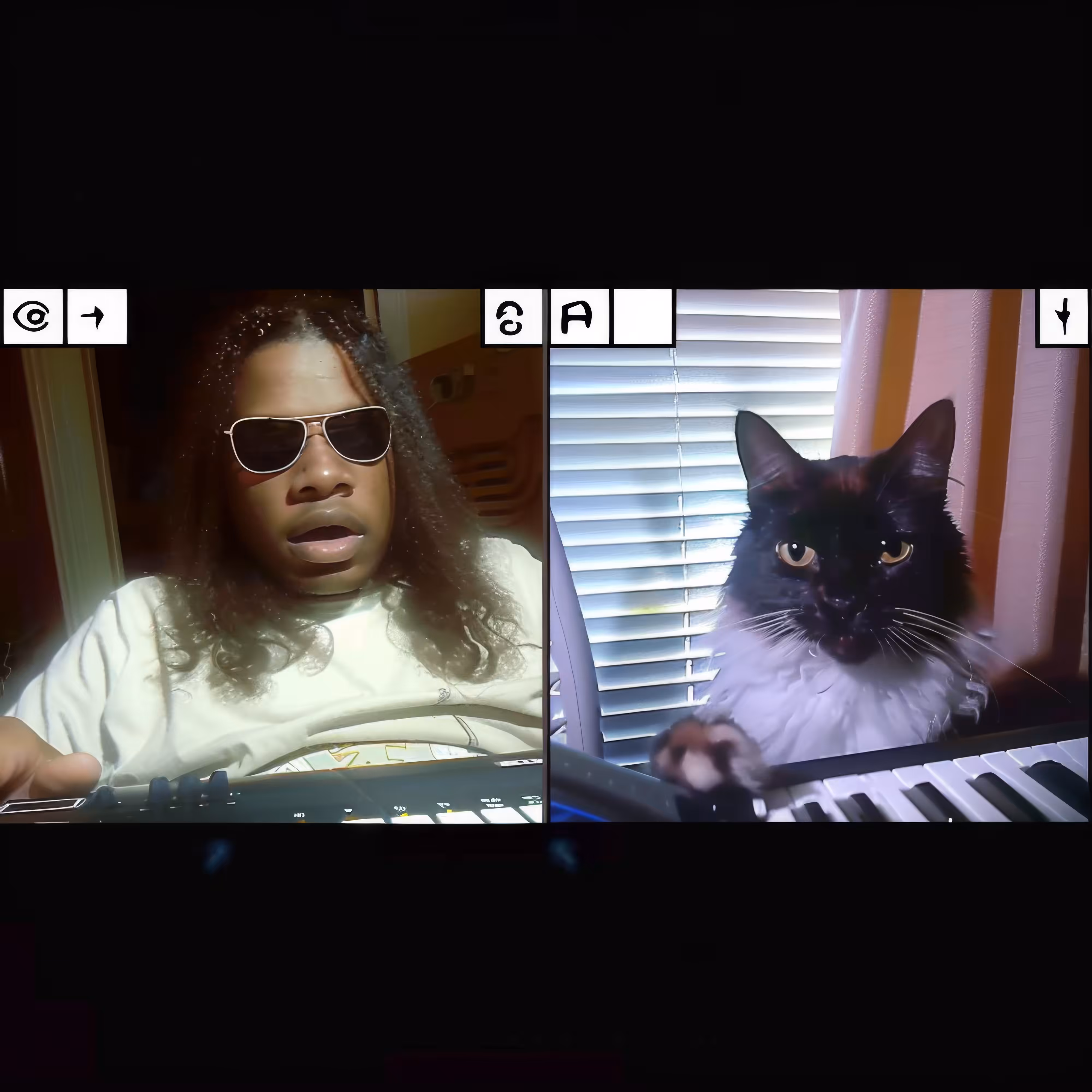 BAD JPEGs: Internet-Duet