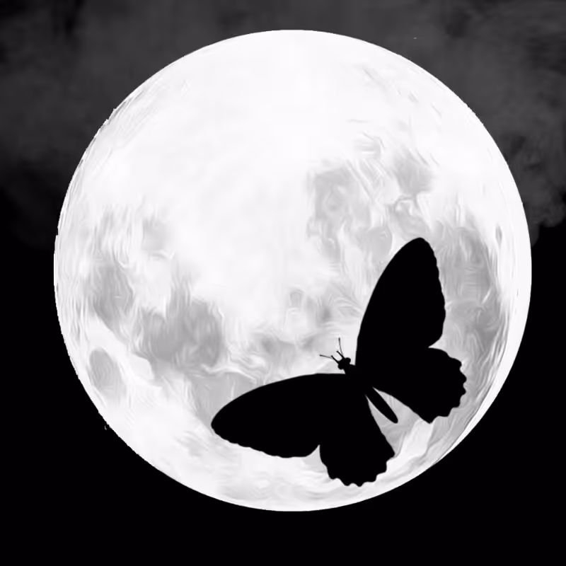 We Care...Butterfly #4