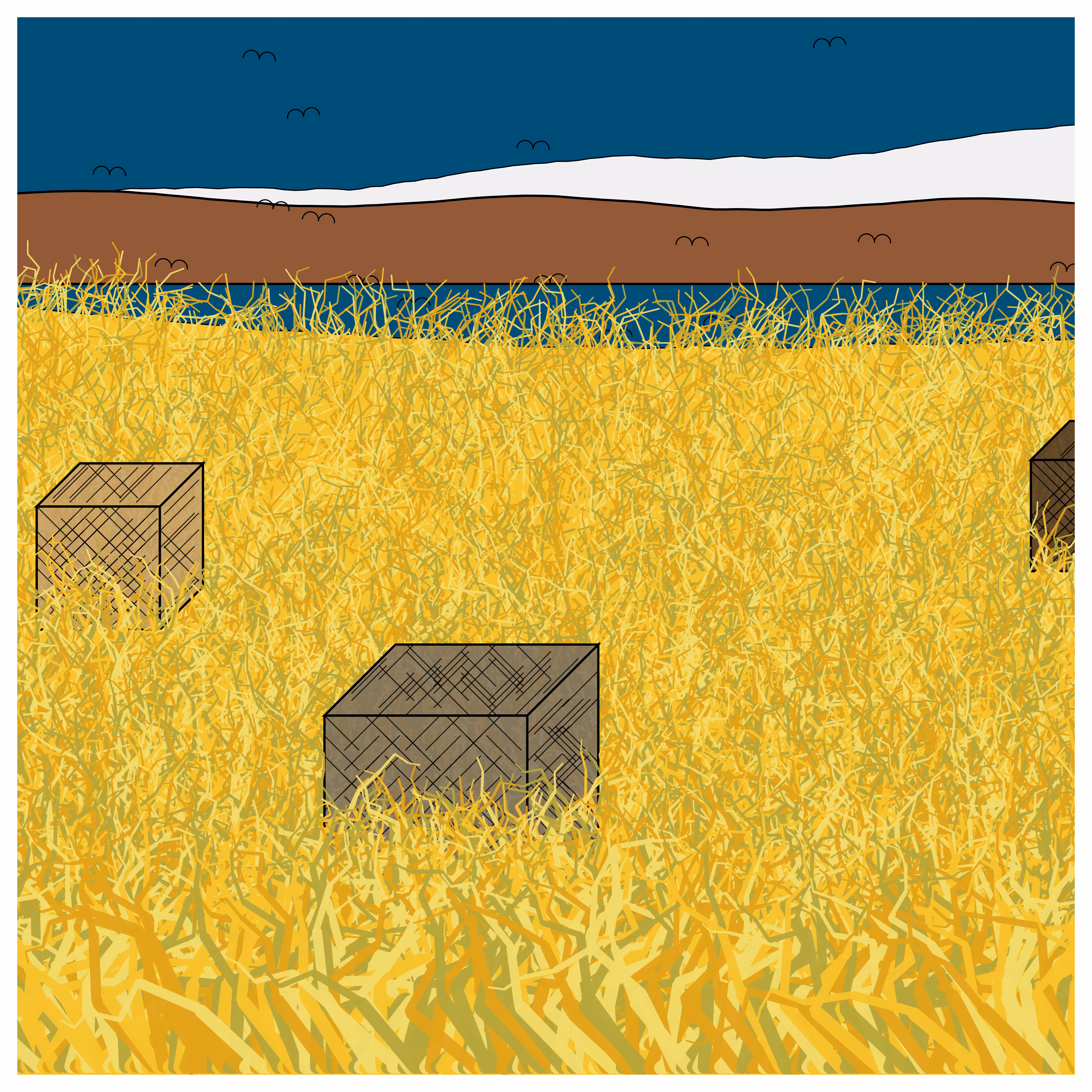 Cube Forest #101