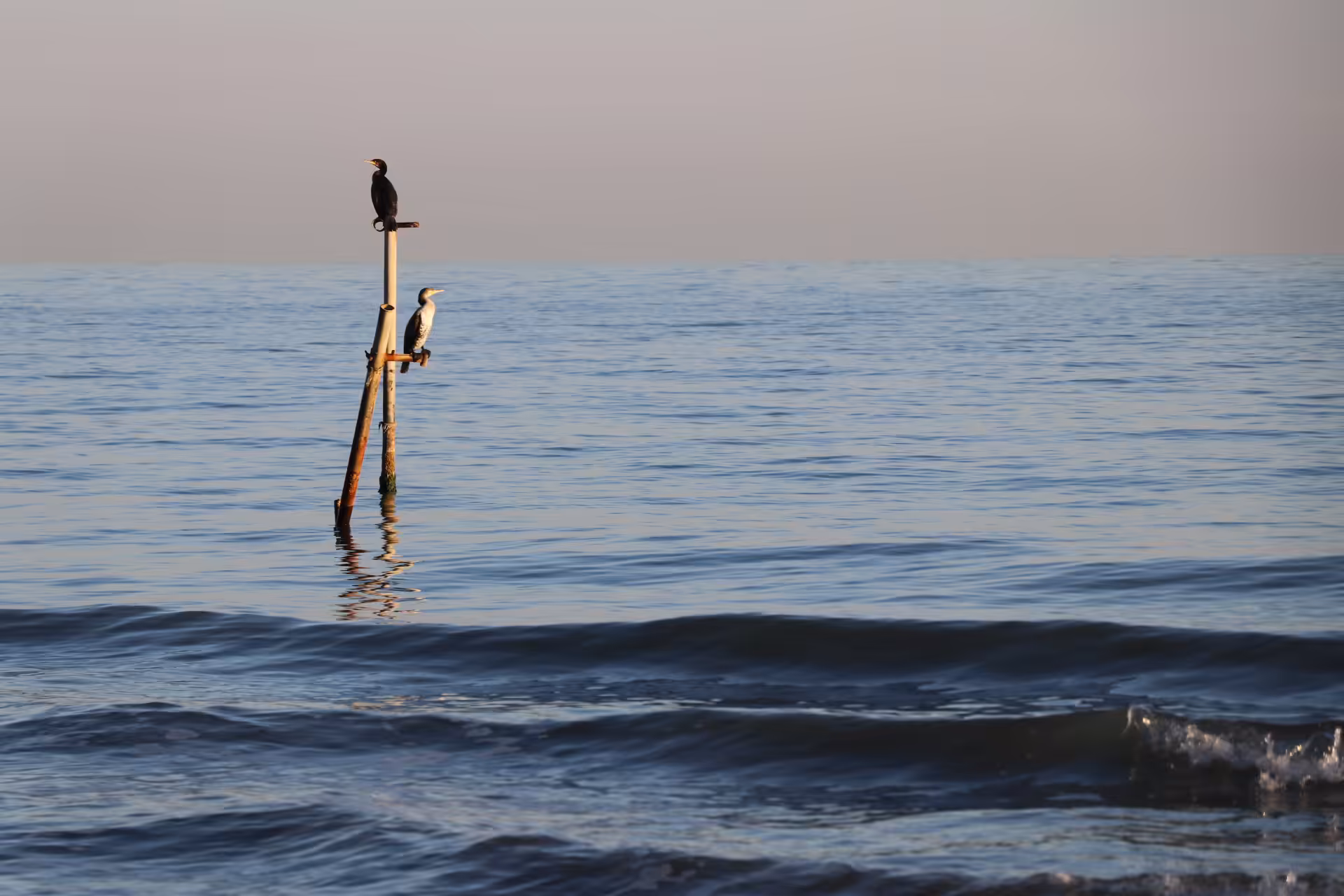 calmness