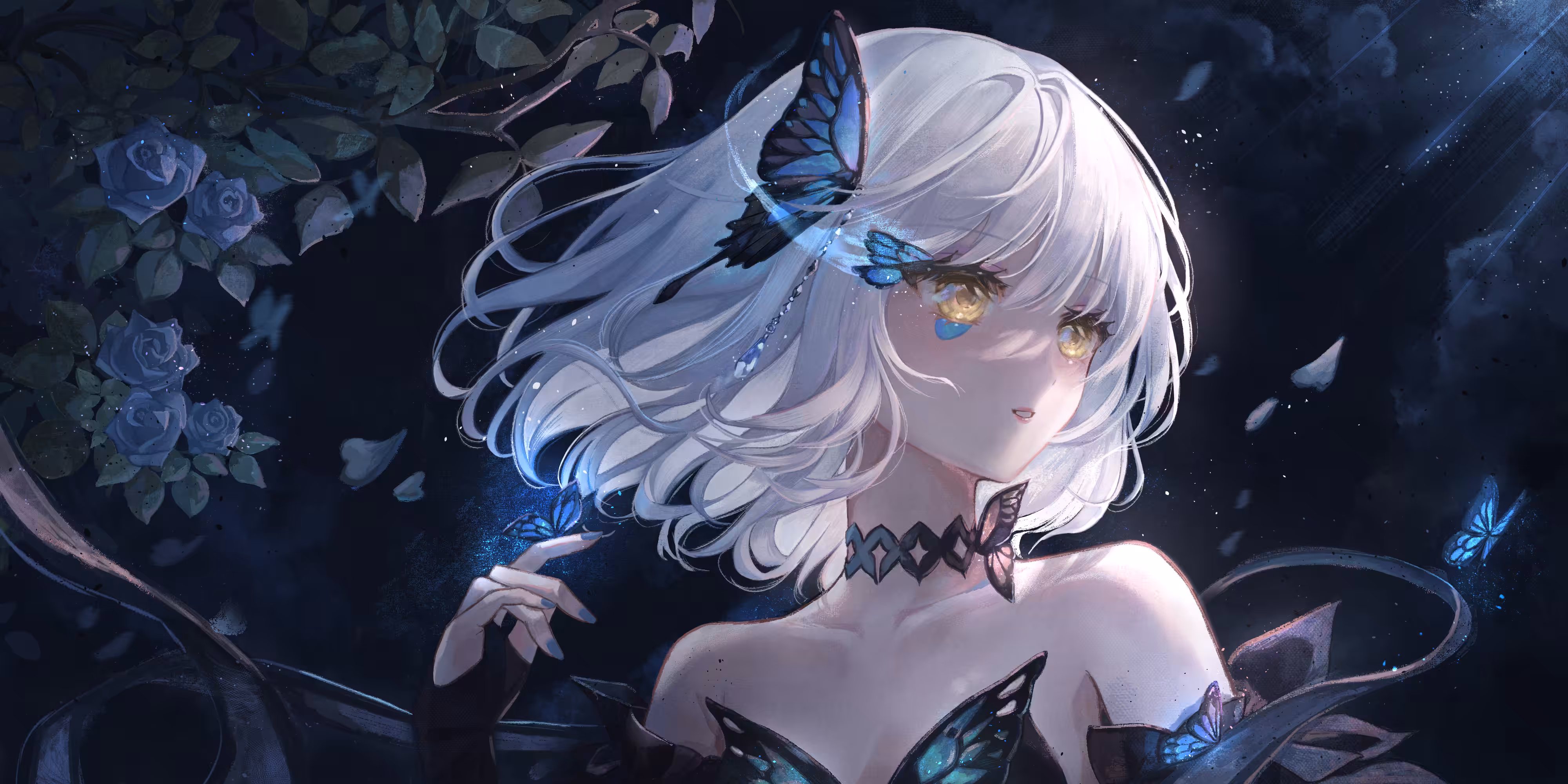 Papilio Ulysses