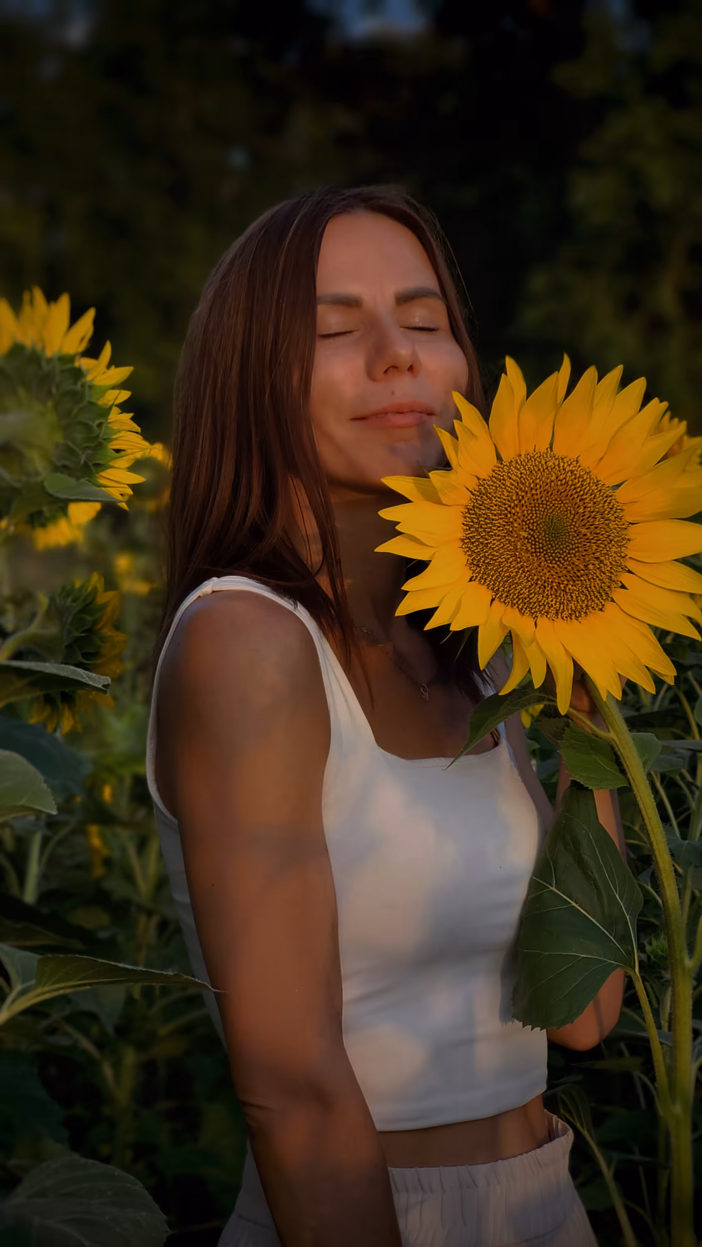 In the rays of sunset
