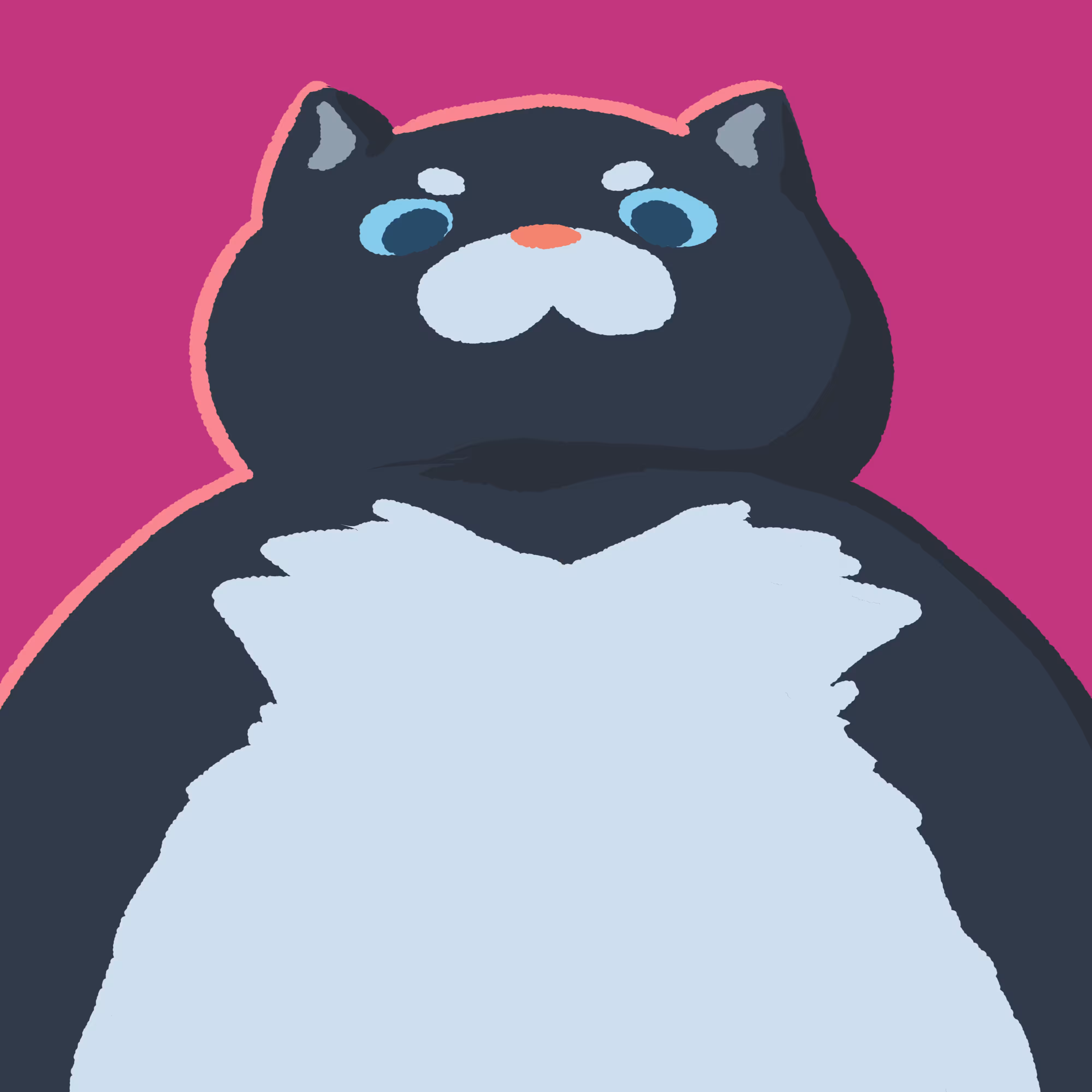 CAT #19 Biggest Chonk