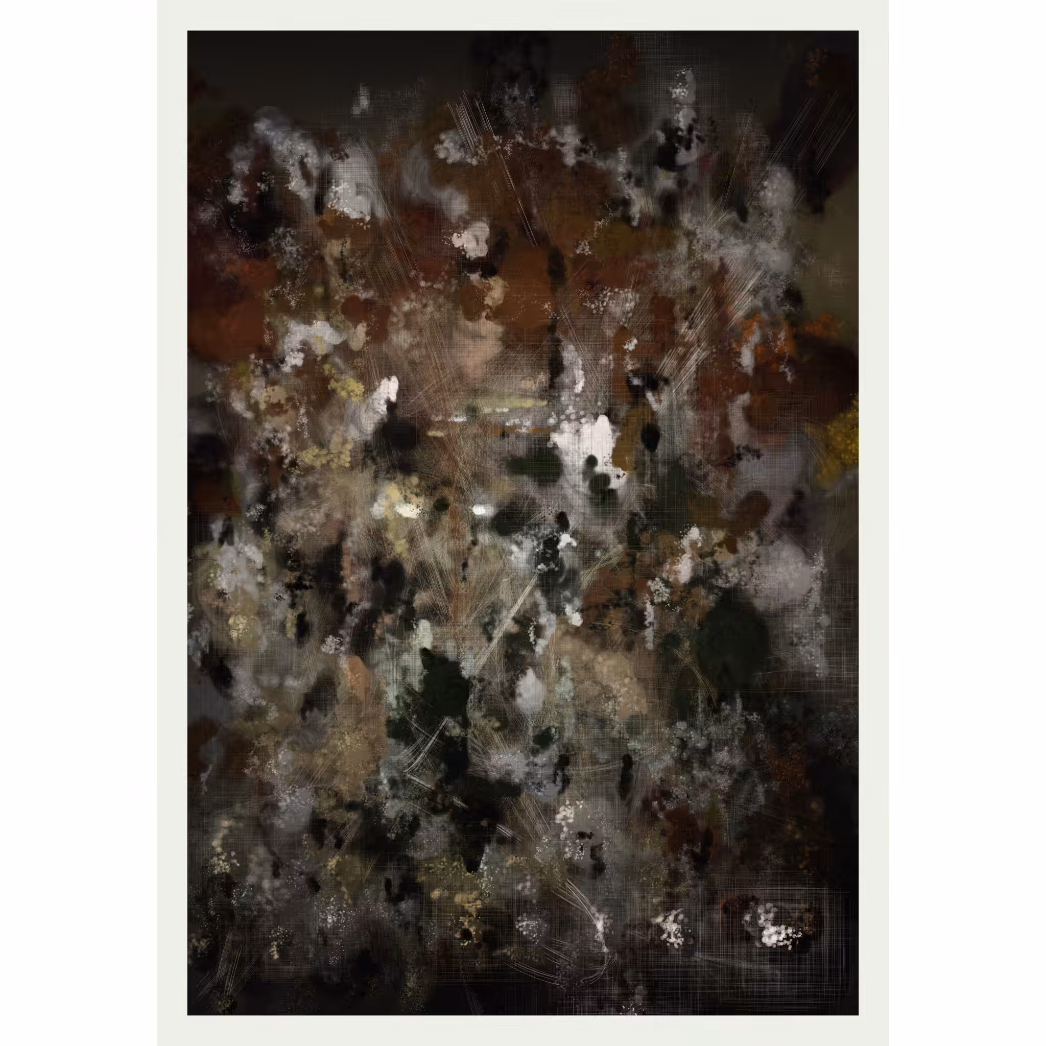 Calypso #11