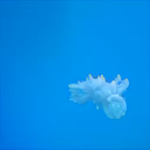 Slow Movements in the Deep