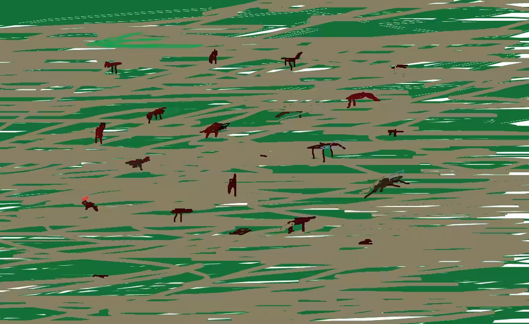 Horses