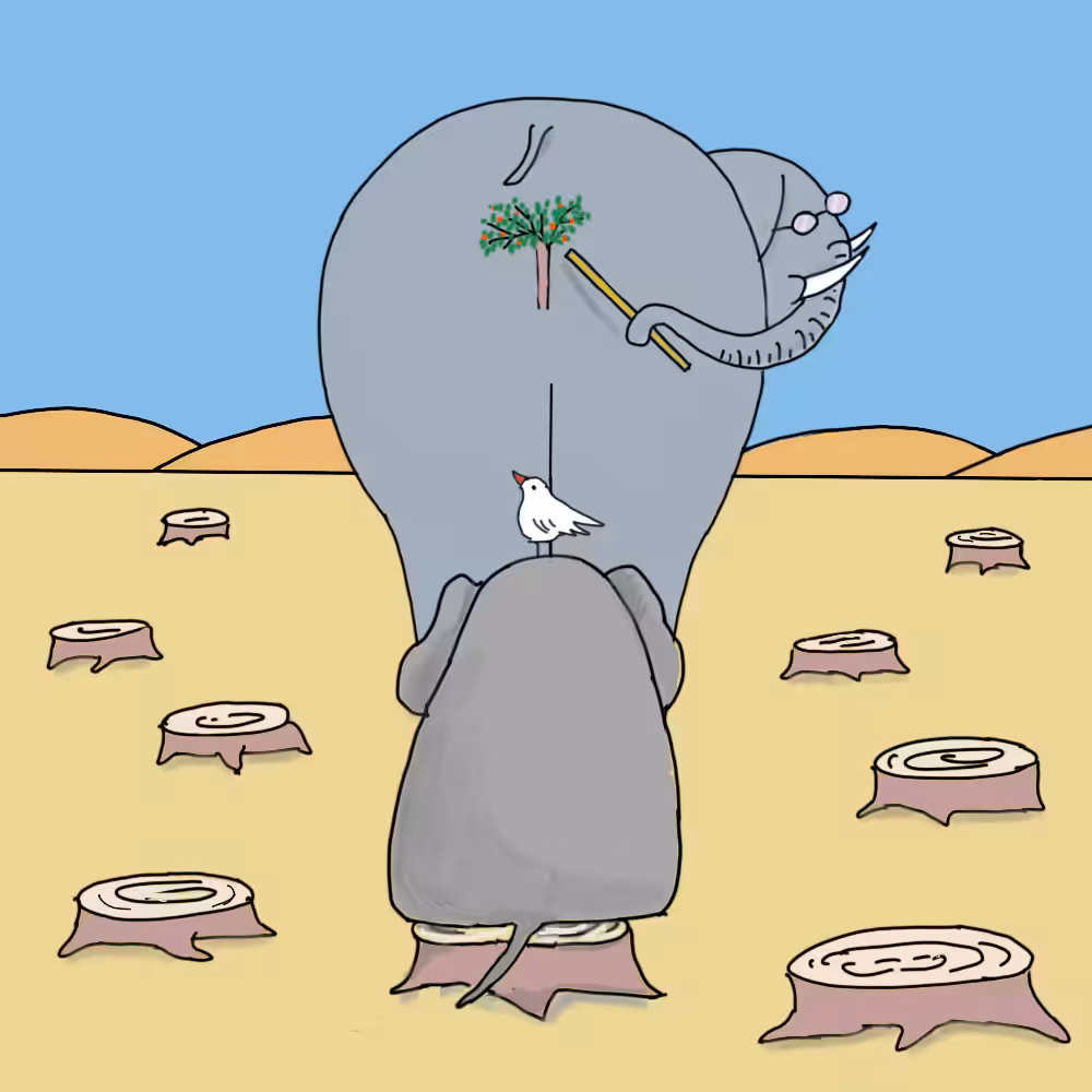 Elephant school #14