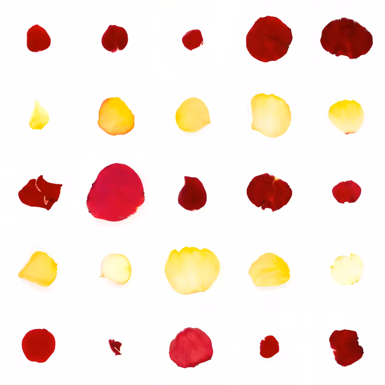 Infinite Petals 5x5#20821