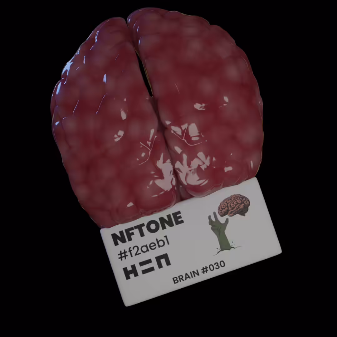 NFTONE - Brain - #030 - H=N Material Swatches Collection