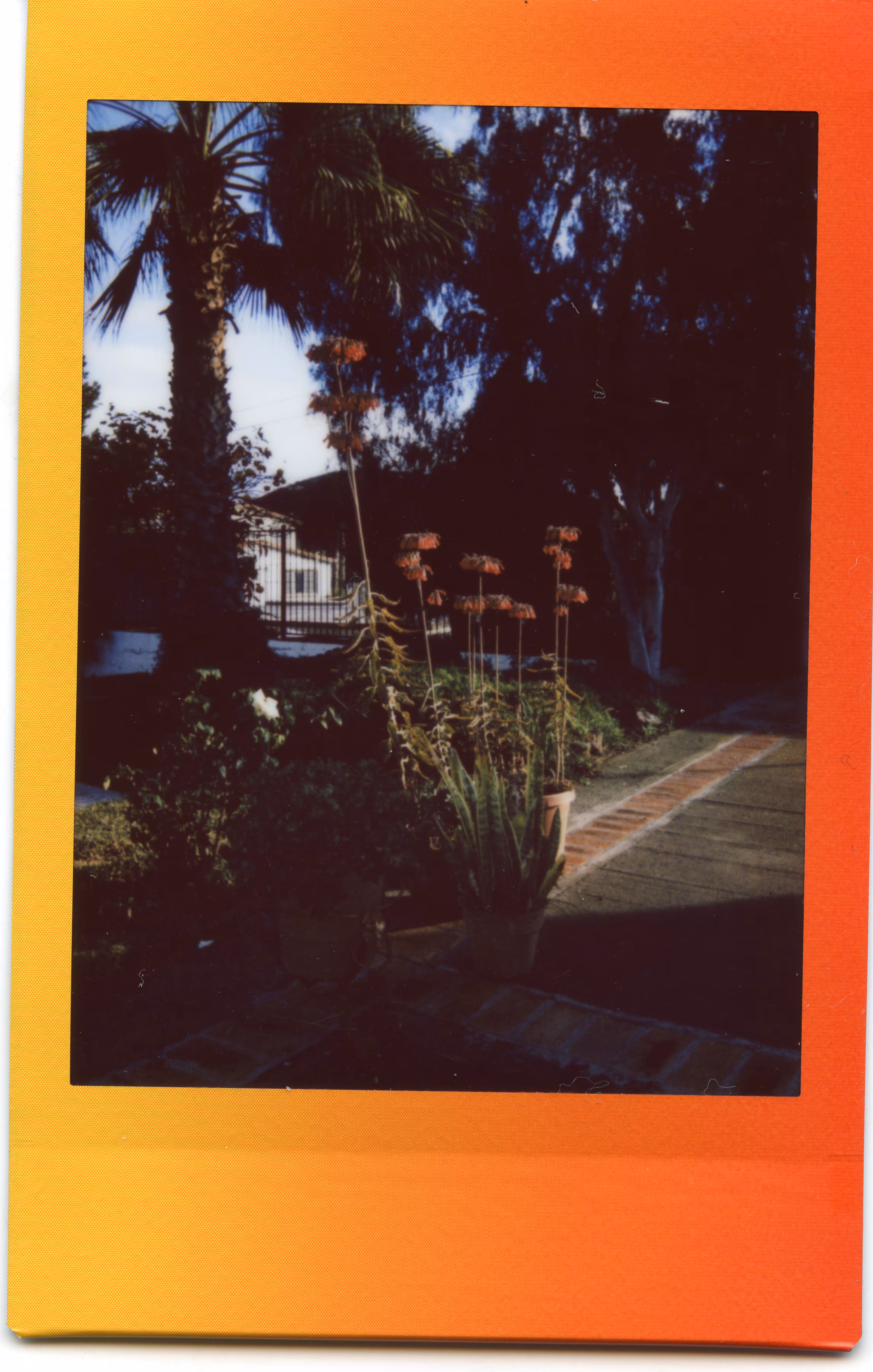 Favorite garden - a magical place