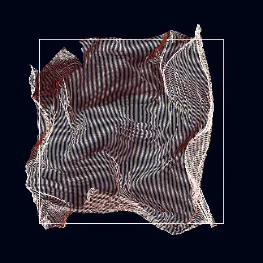 Fibril #147