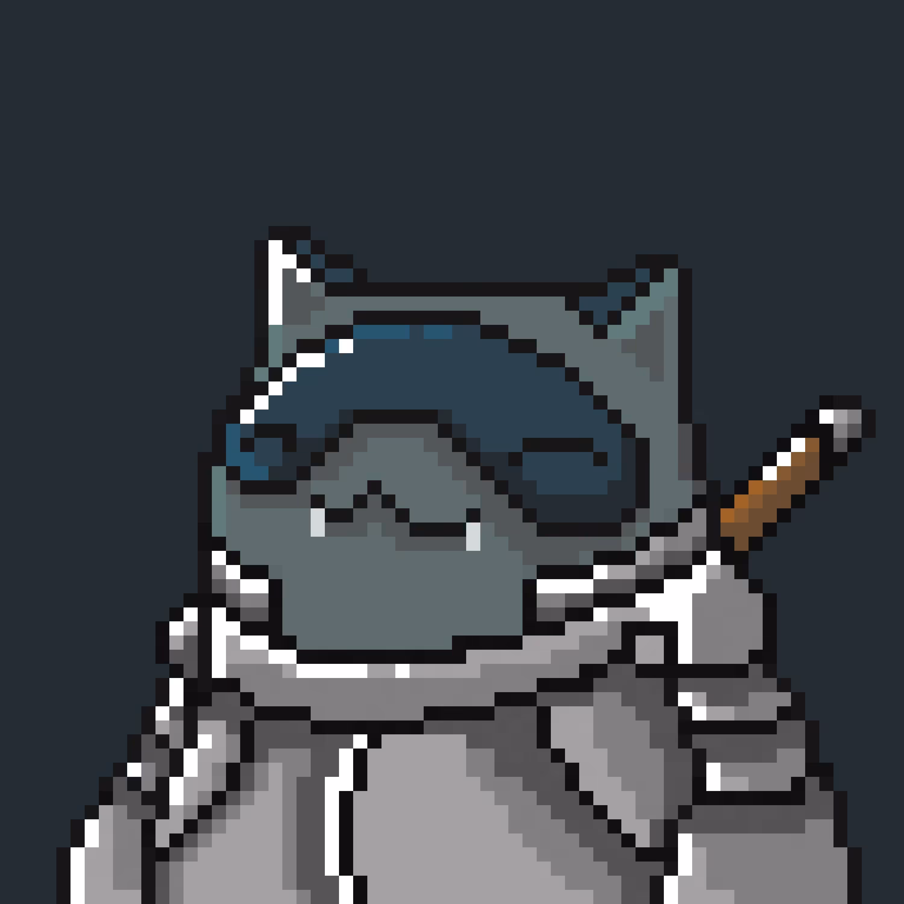 Warrior Tanuki