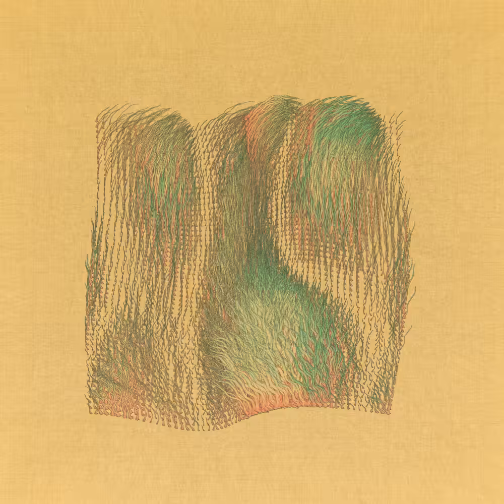 FERAL #17