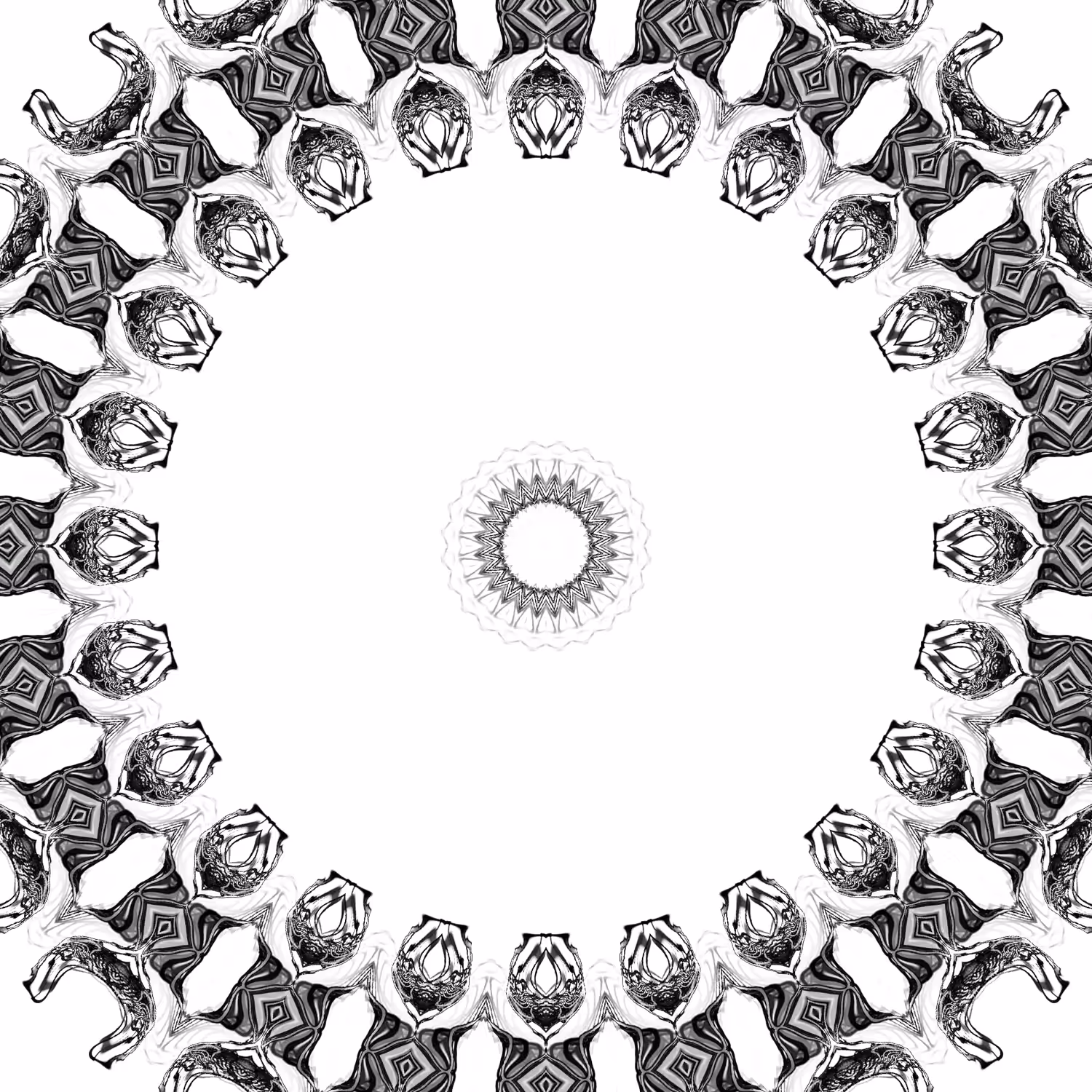 orbital warp 36