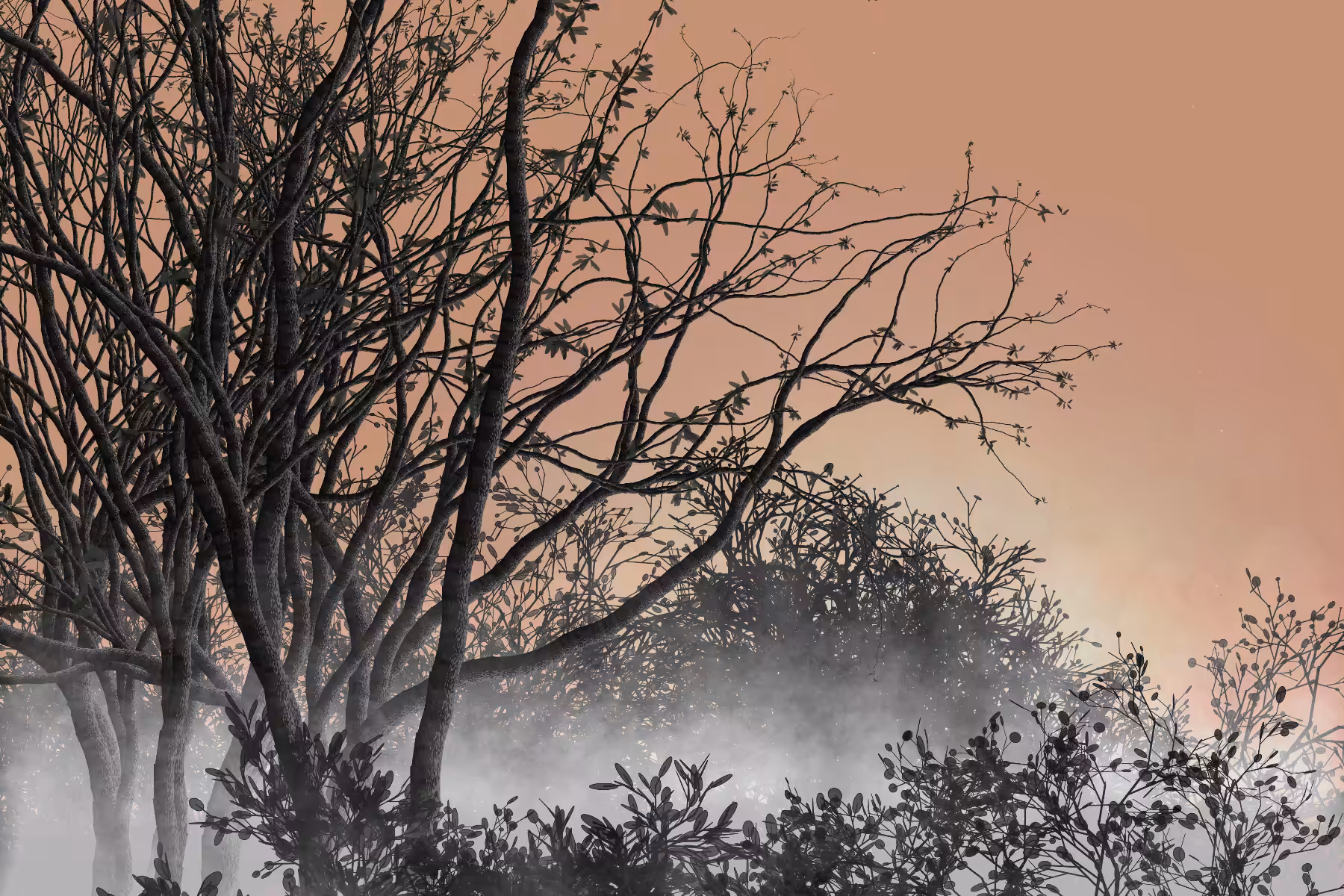 Morning Mist #153