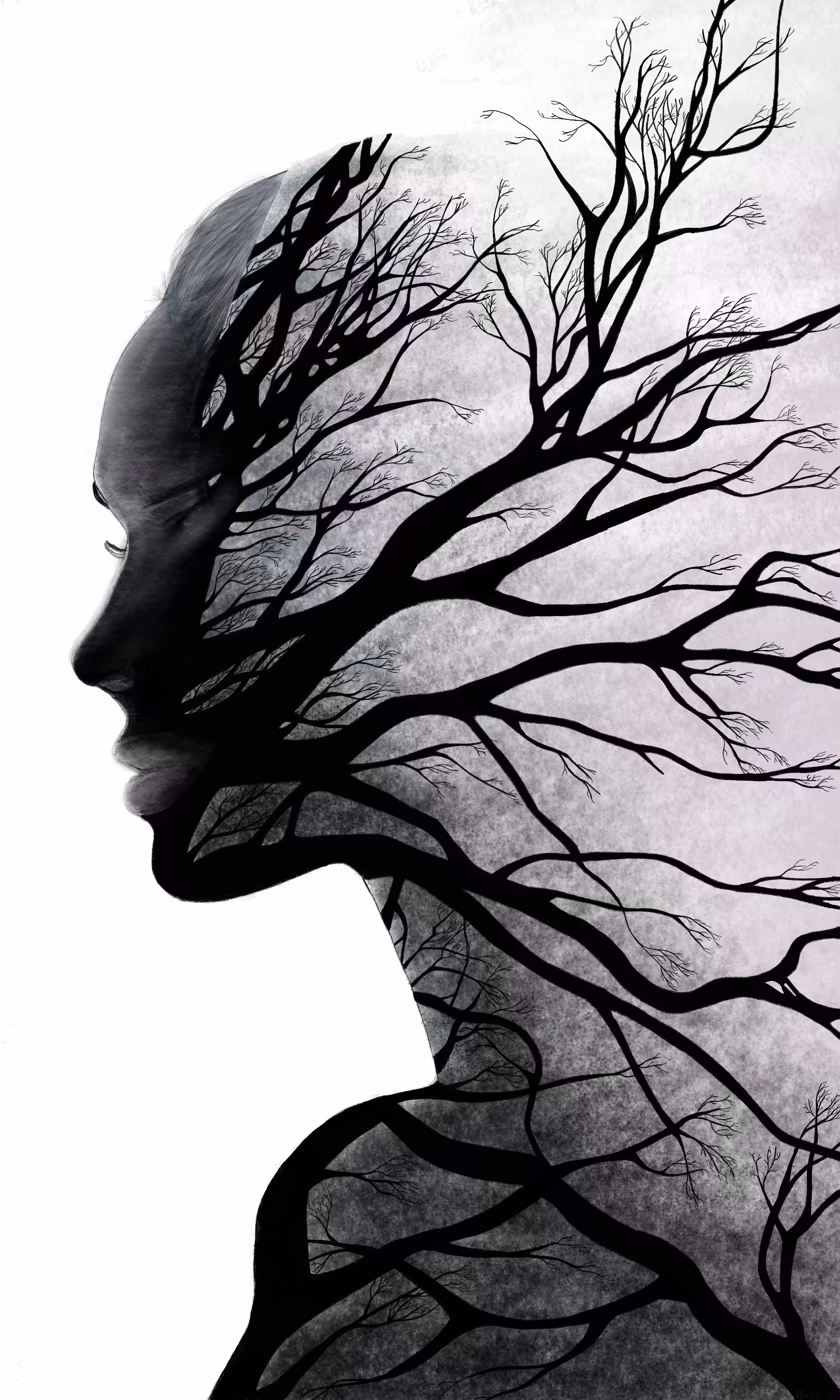Quiet Becoming