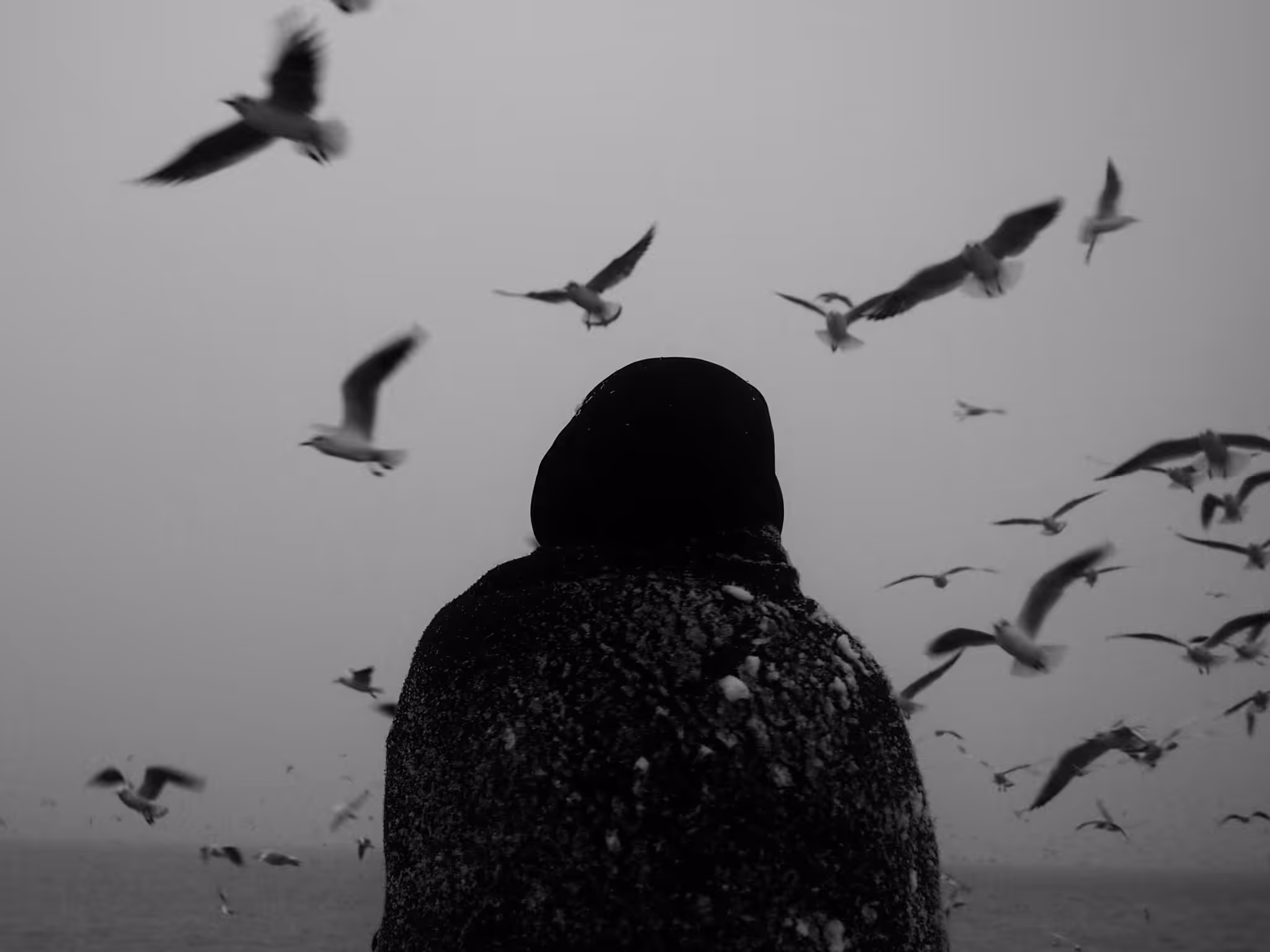 Diary Of Pain: Like Birds
