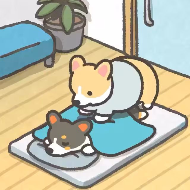 Shiba #1