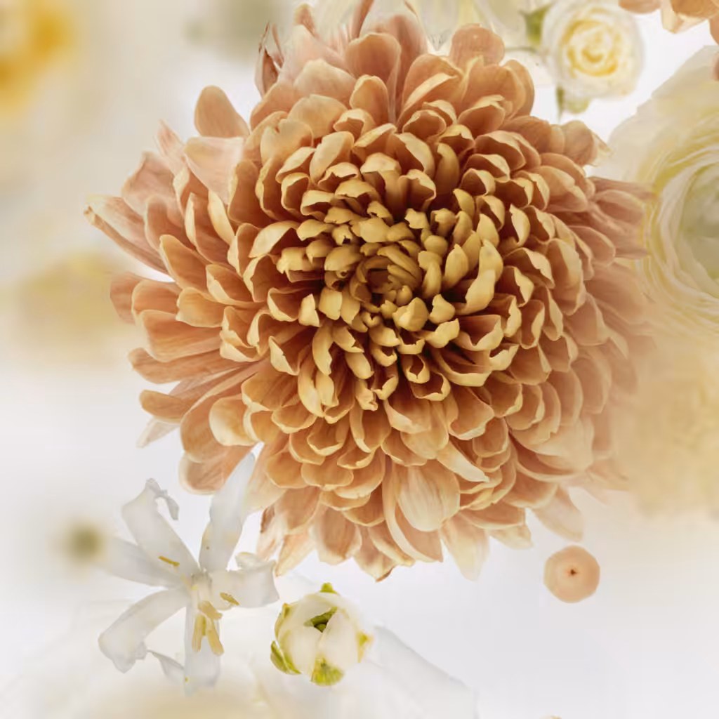 Broken Flowers #2