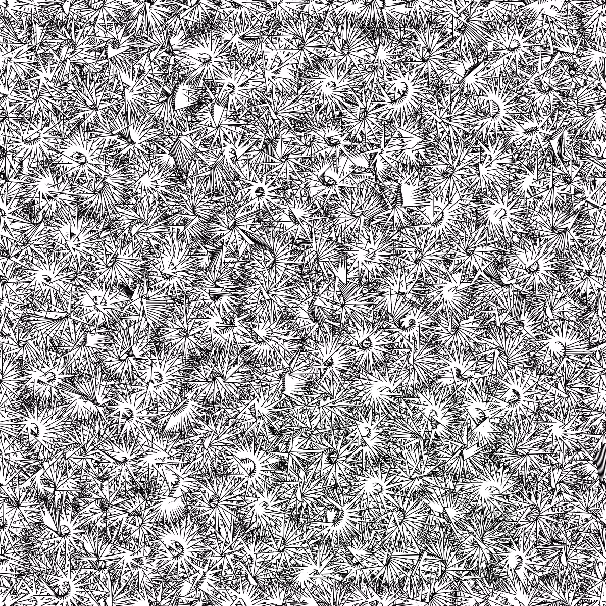 Fantacy Carpet #37