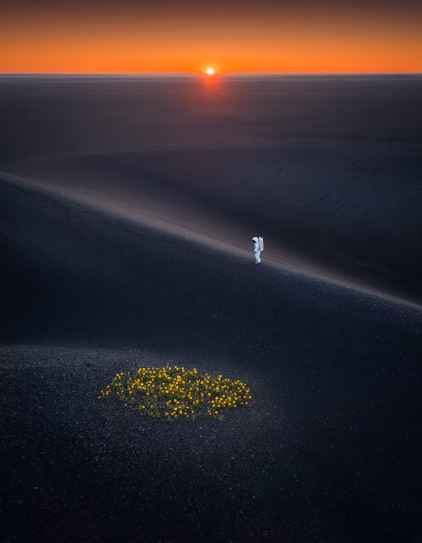 Dawn of the Unknown
