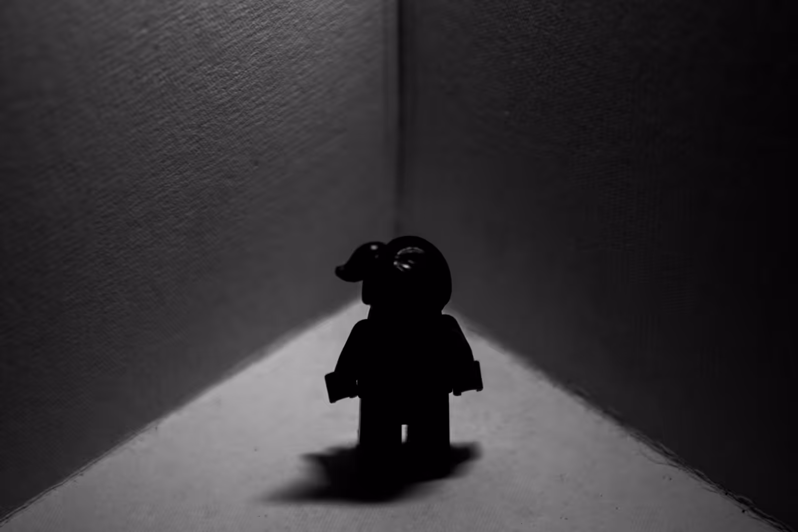 The life of legos in the pandemic