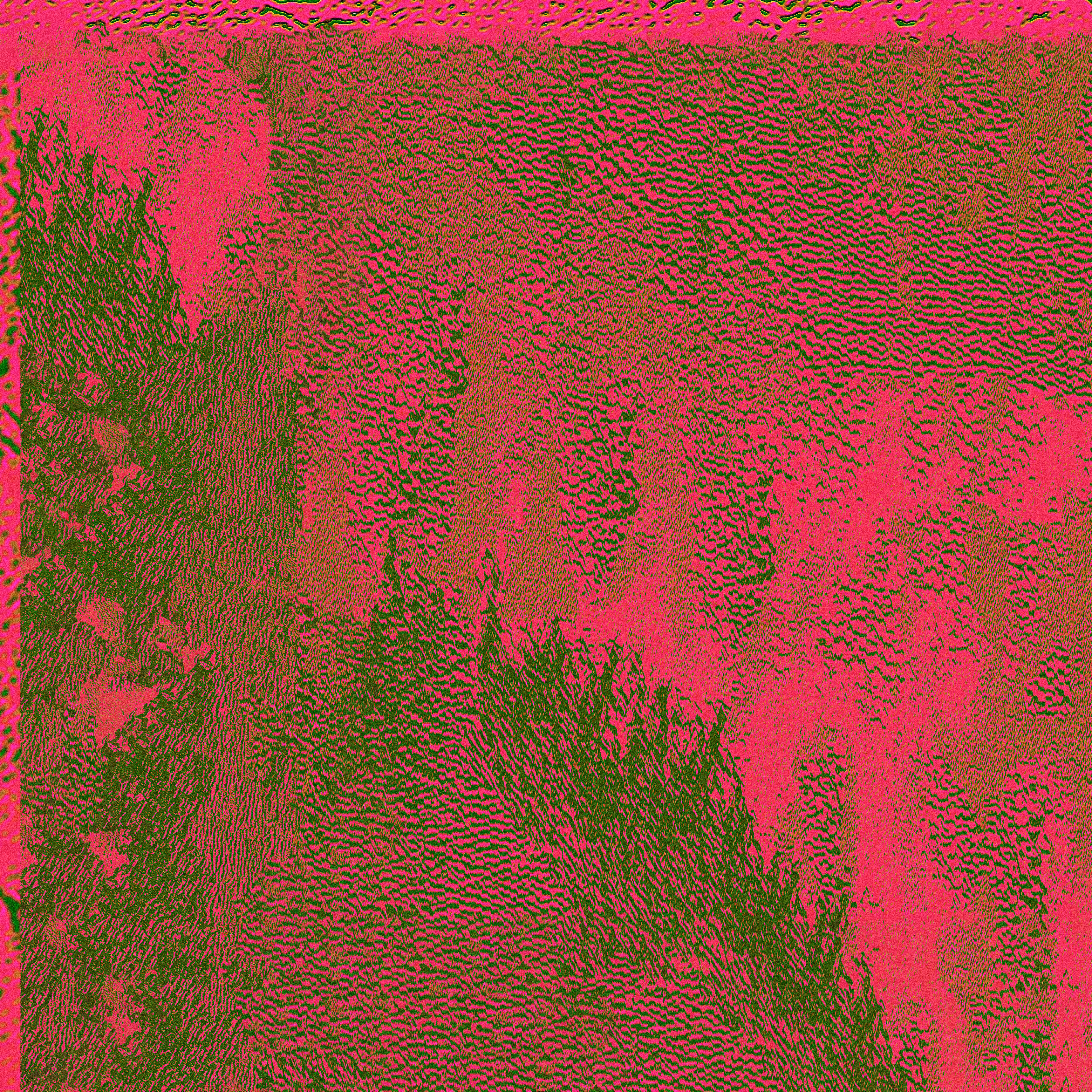 Wildflowers LXXXI