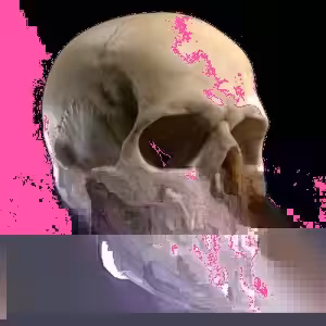 Glitched Skull #013