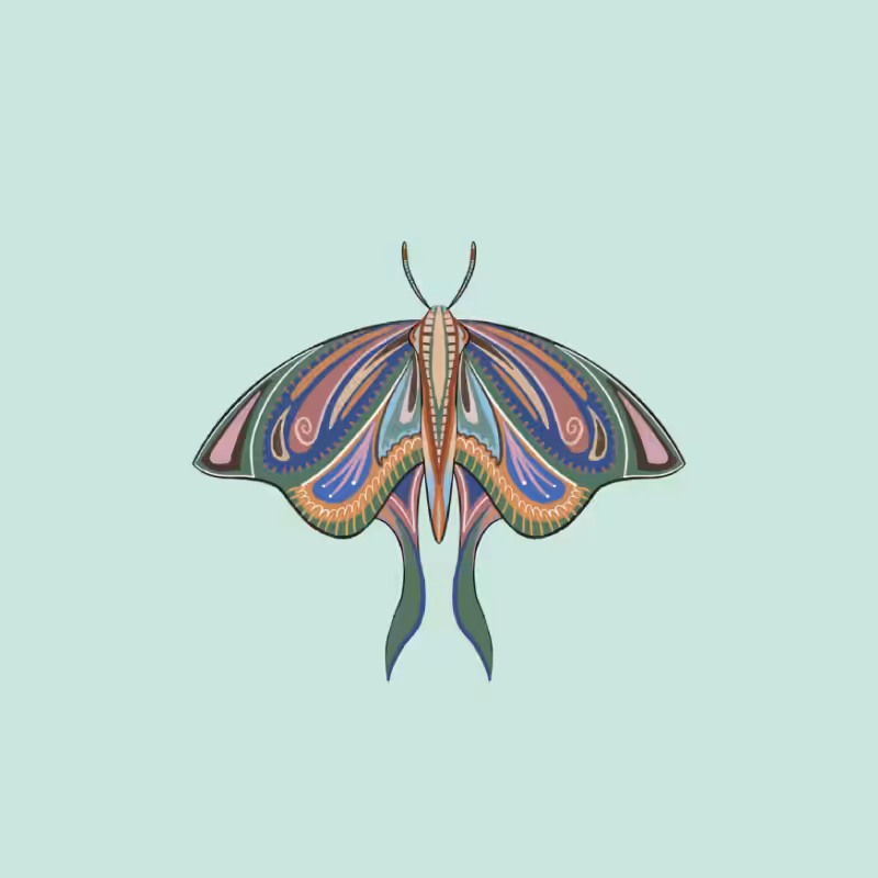 The Moth Experiment 2.0 P2 #19