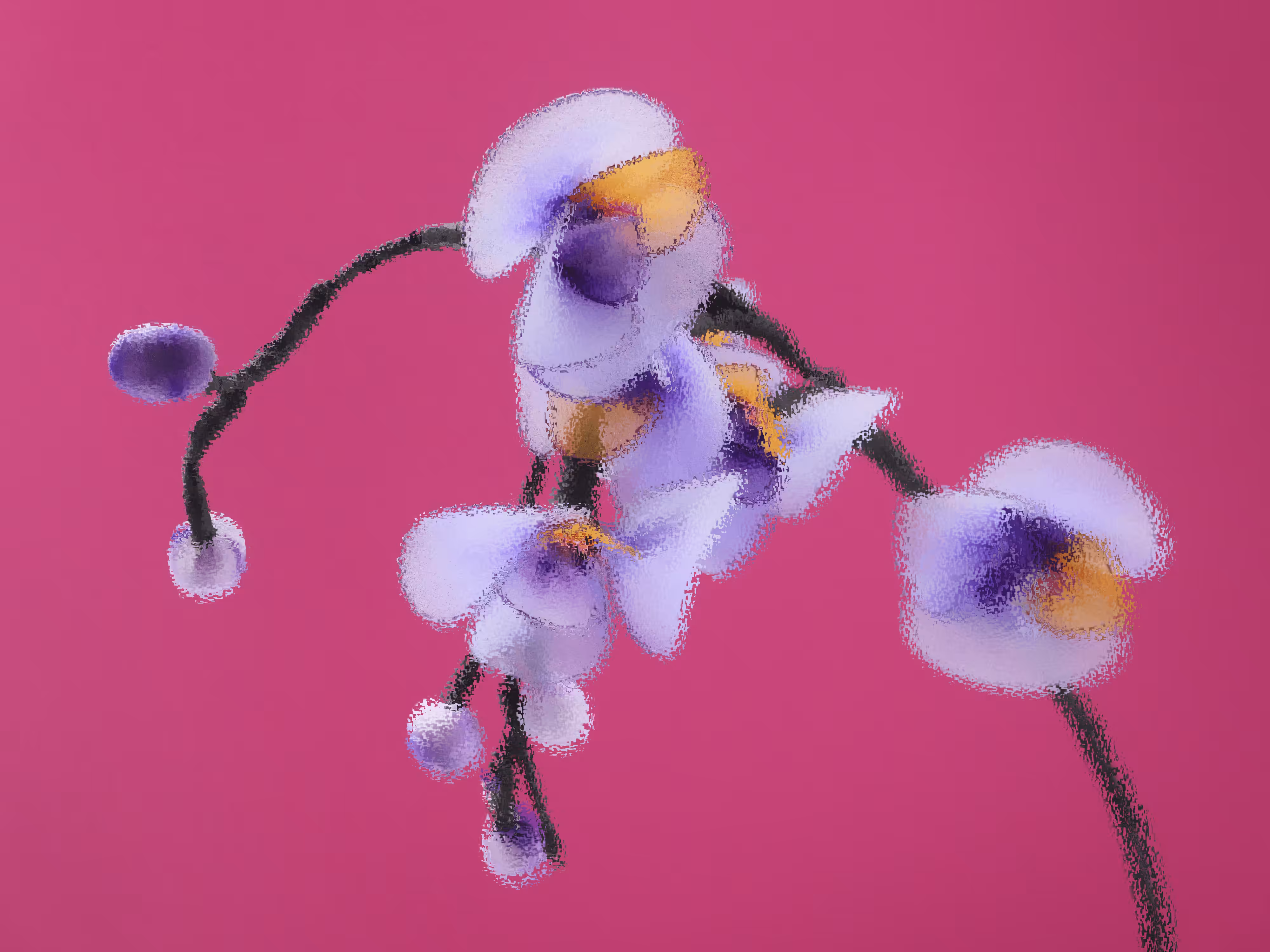 Postcard #65