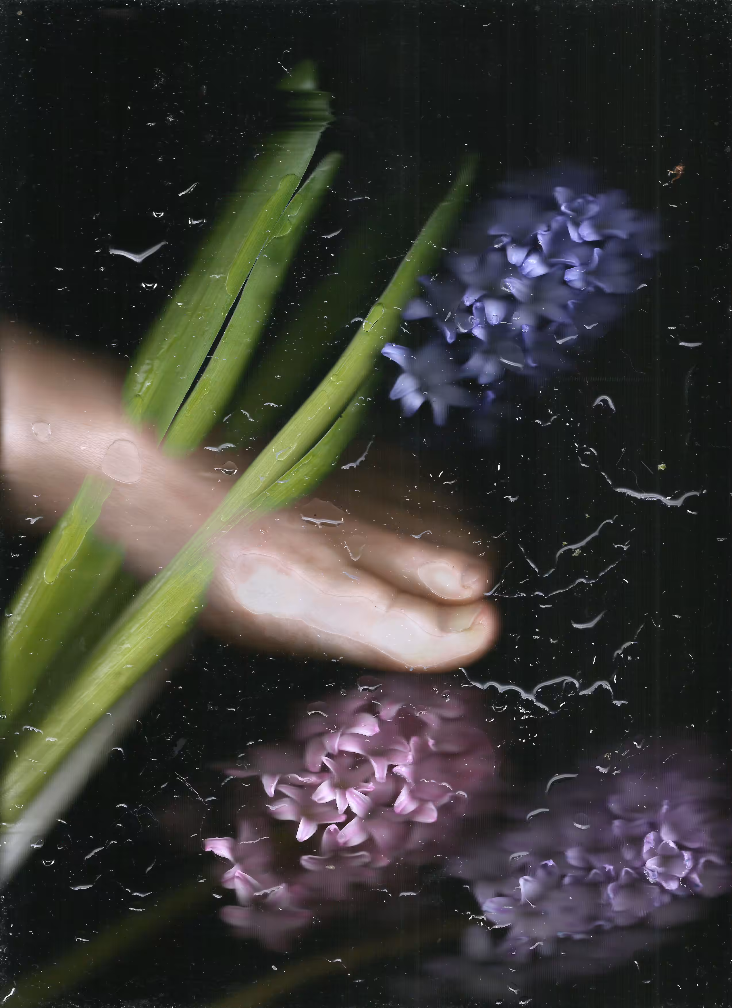 Ophelia
