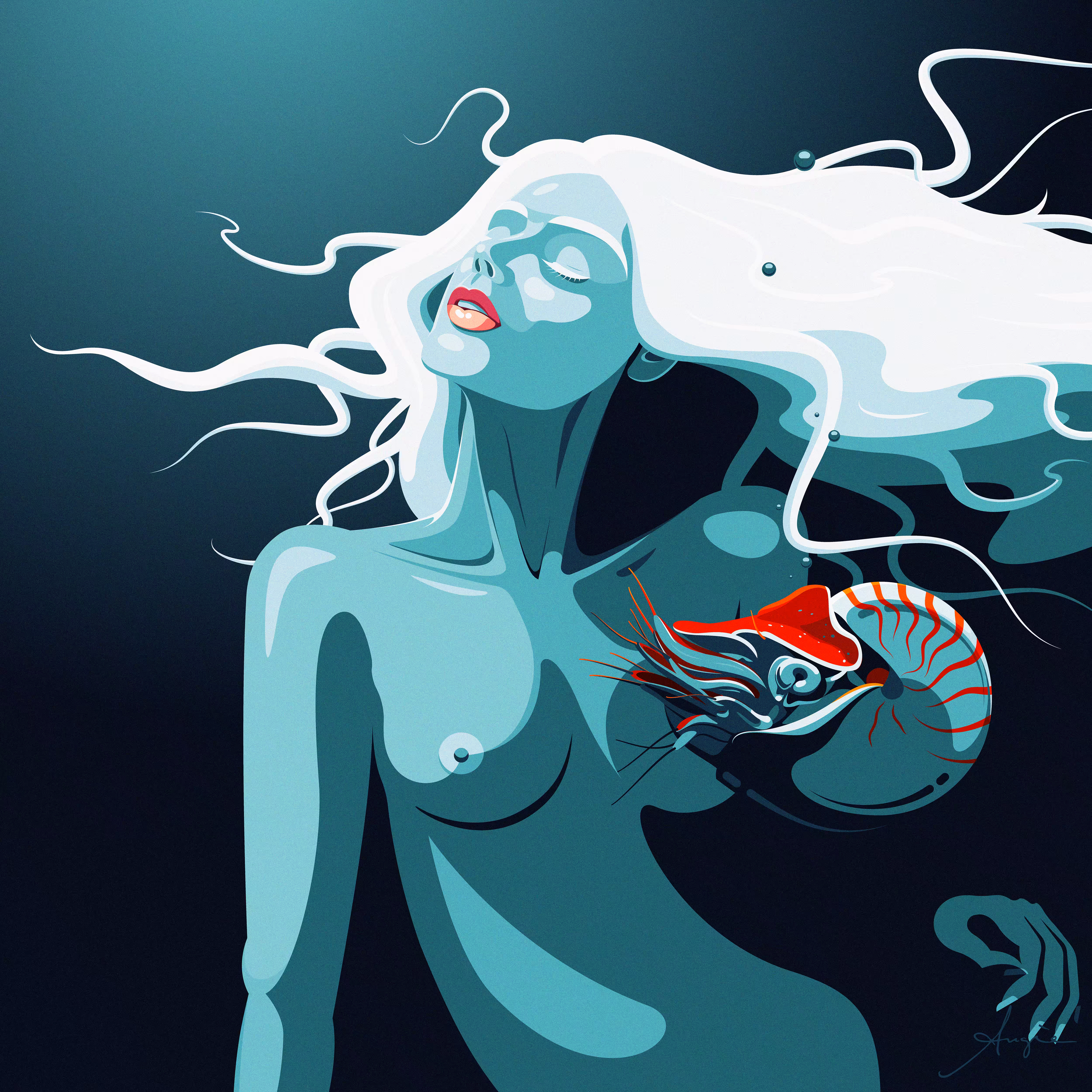 Nautilus