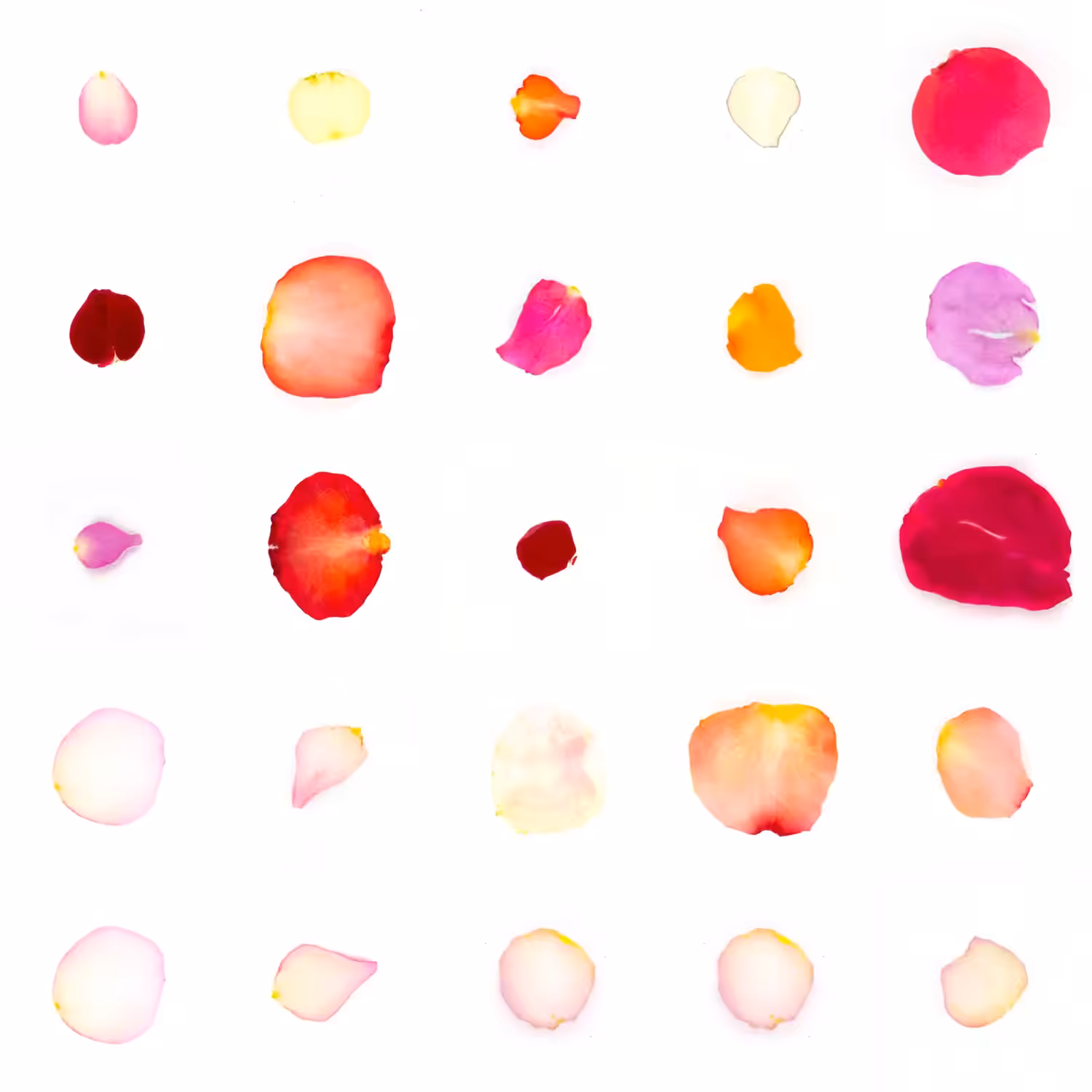 Infinite Petals 5x5#602