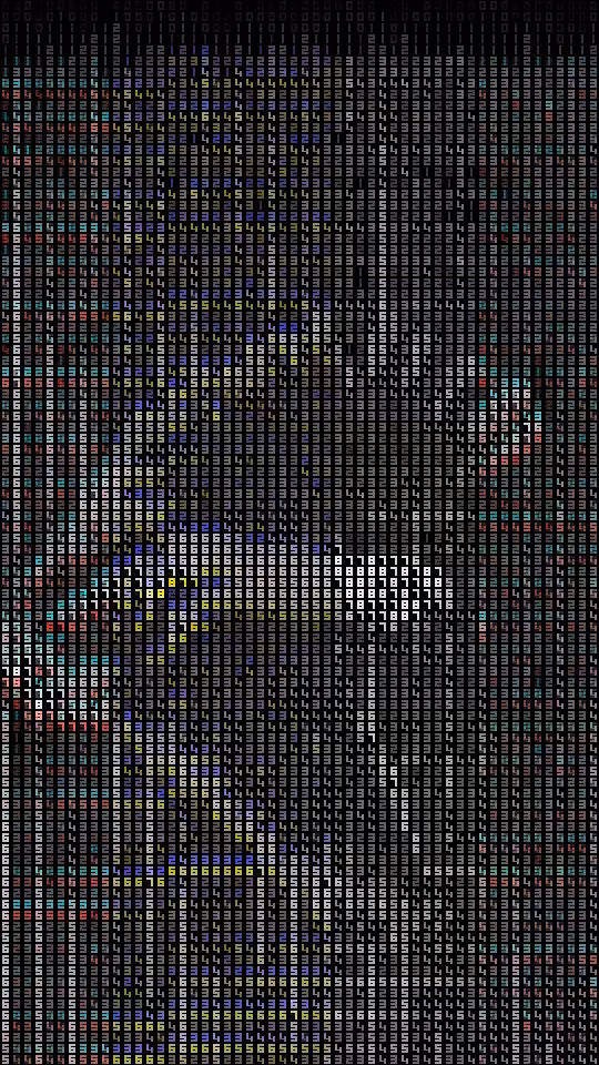 10_cockatoo_00_01_all