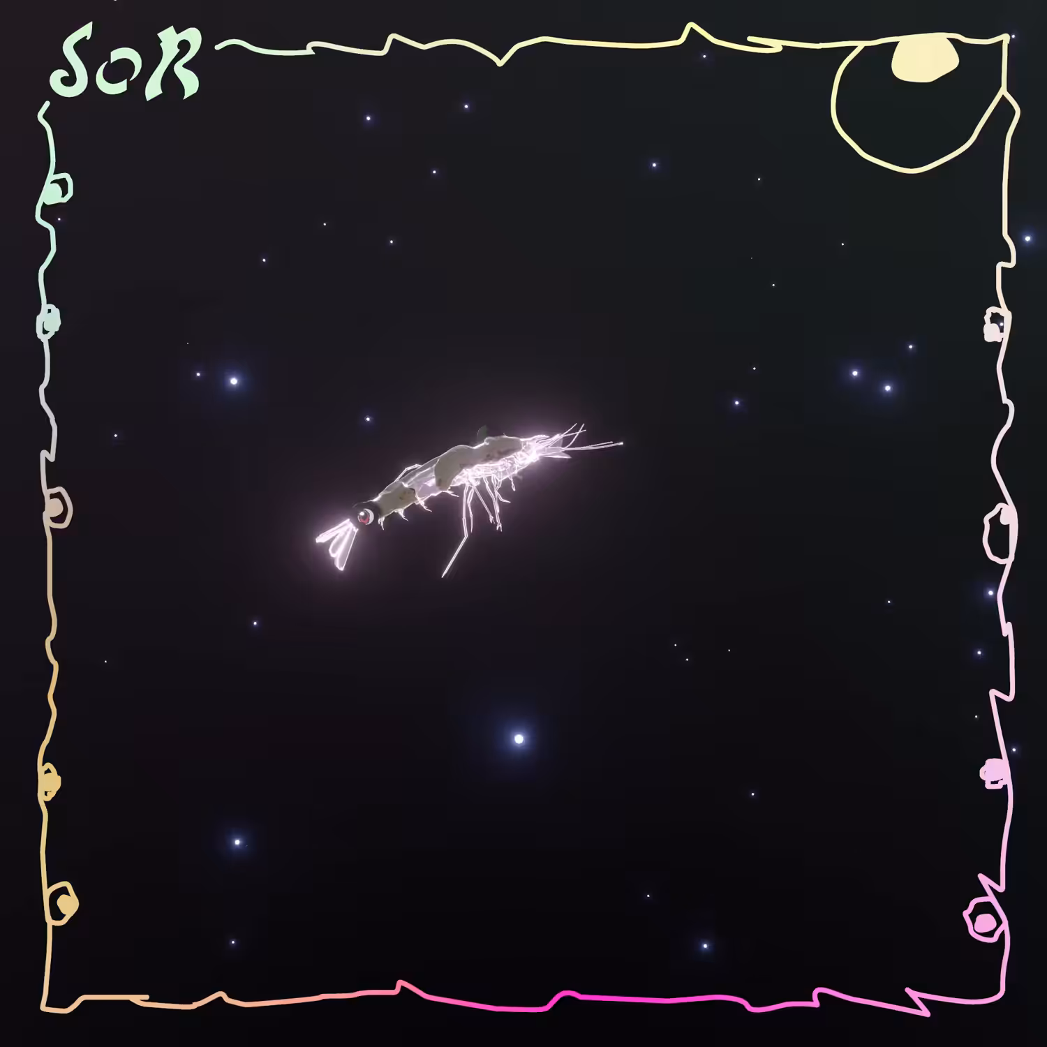 Shrimp #387