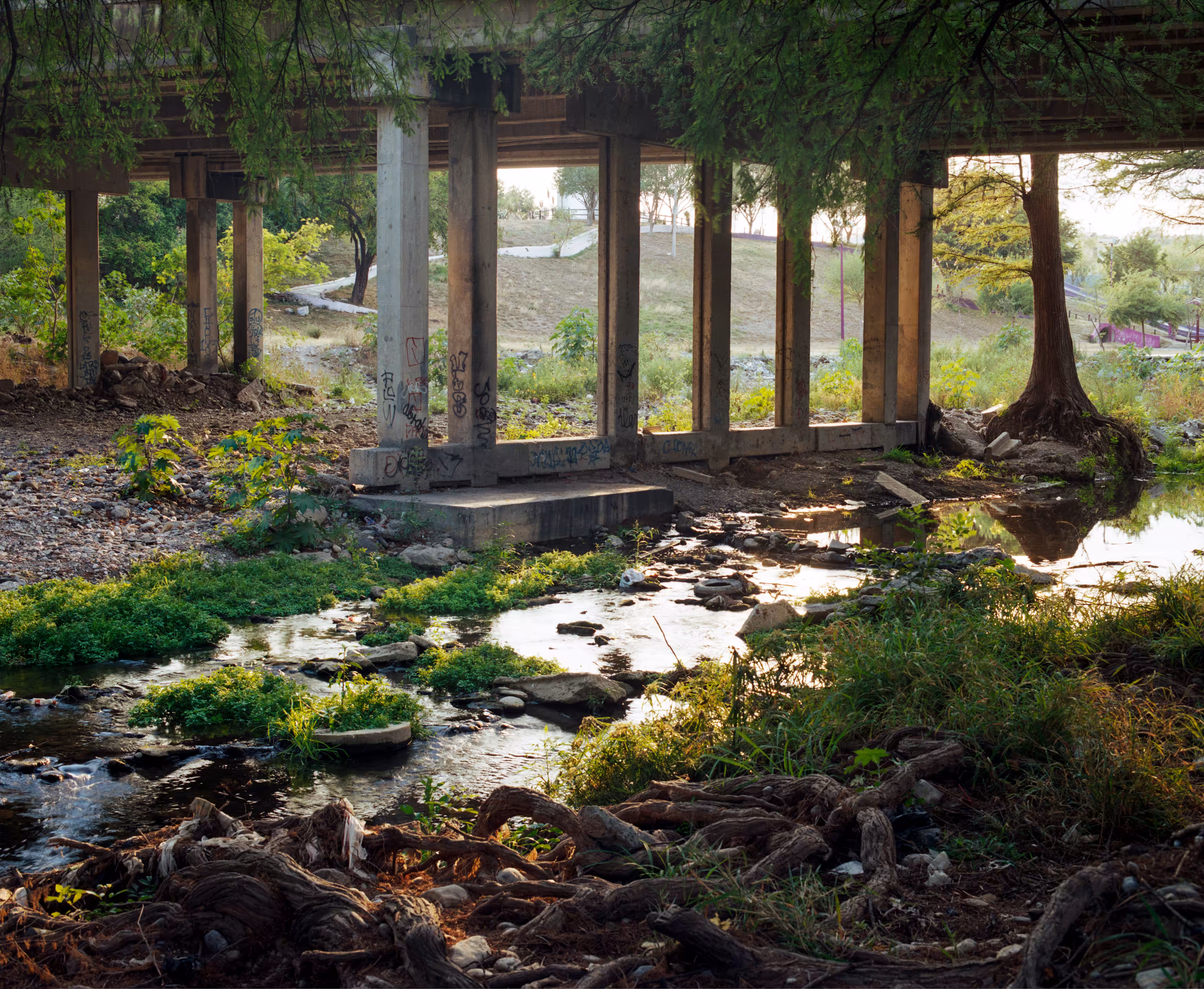 Suburbia Mexicana, Lost Rivers #27