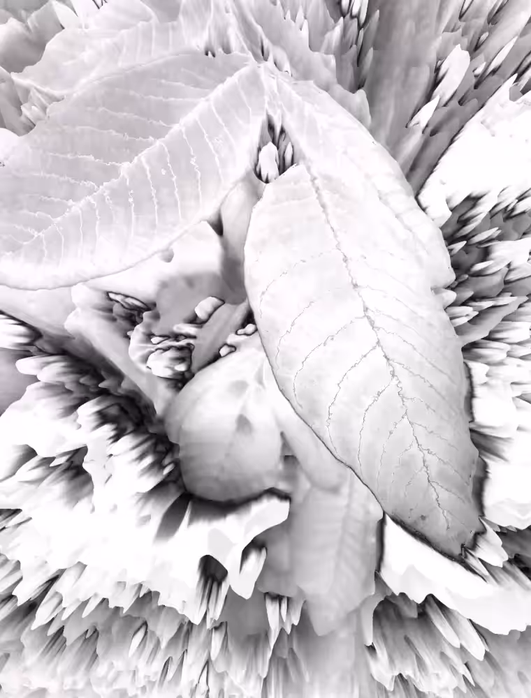 Leaves