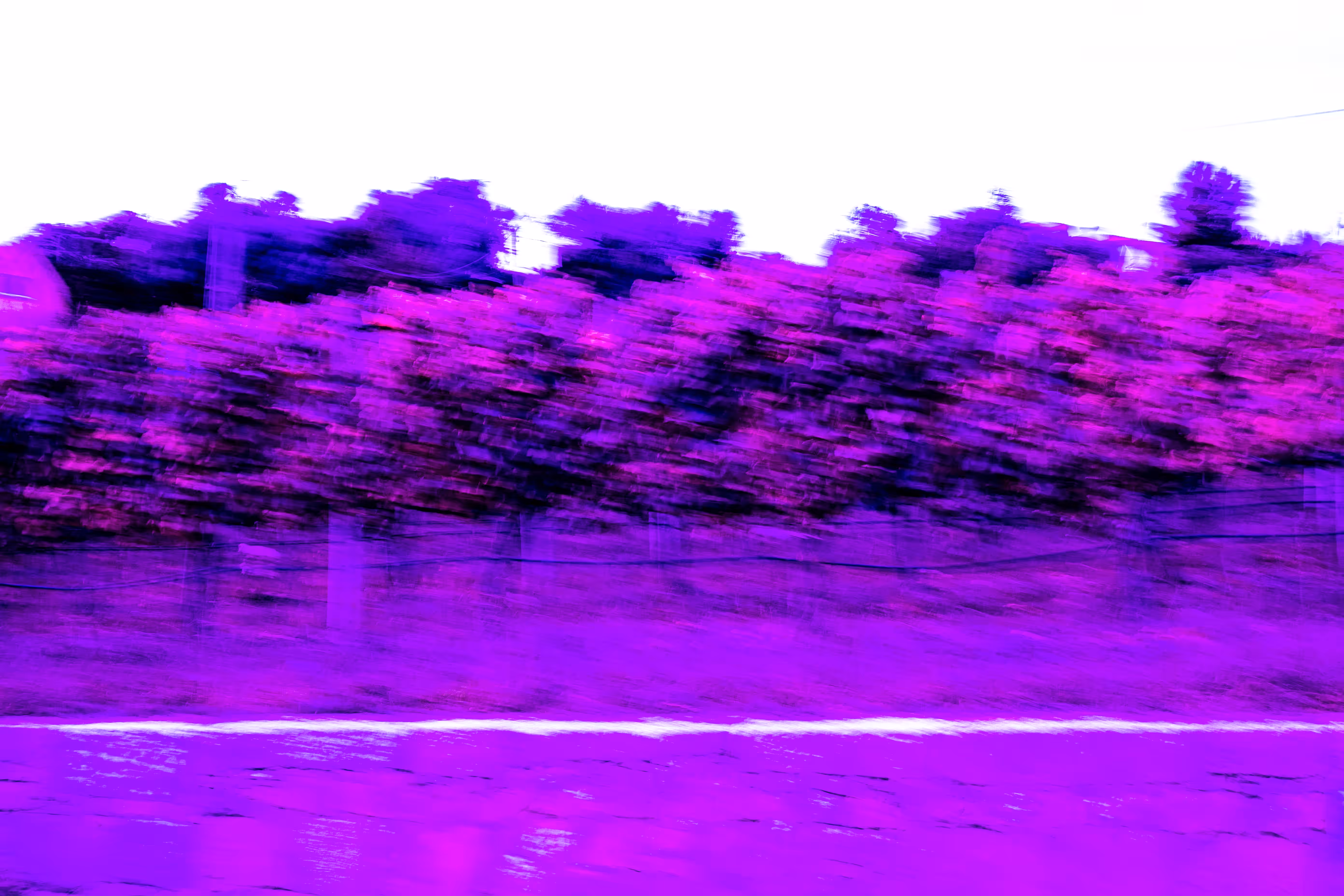 A Bit Too Much Wine