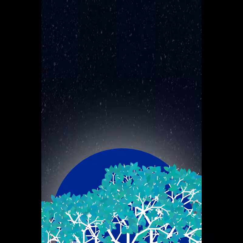 Moonlight Sonata #43
