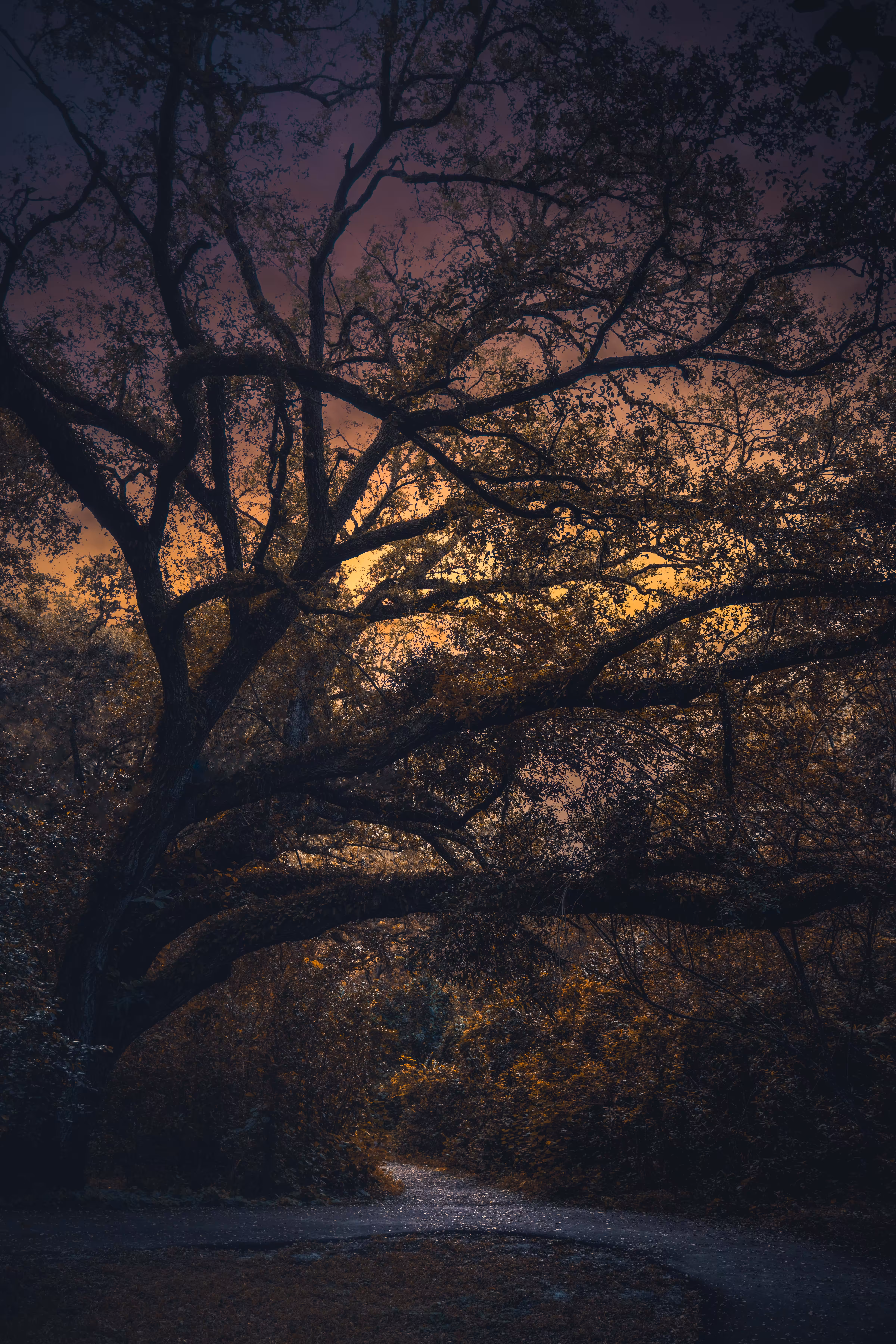 Hallowed