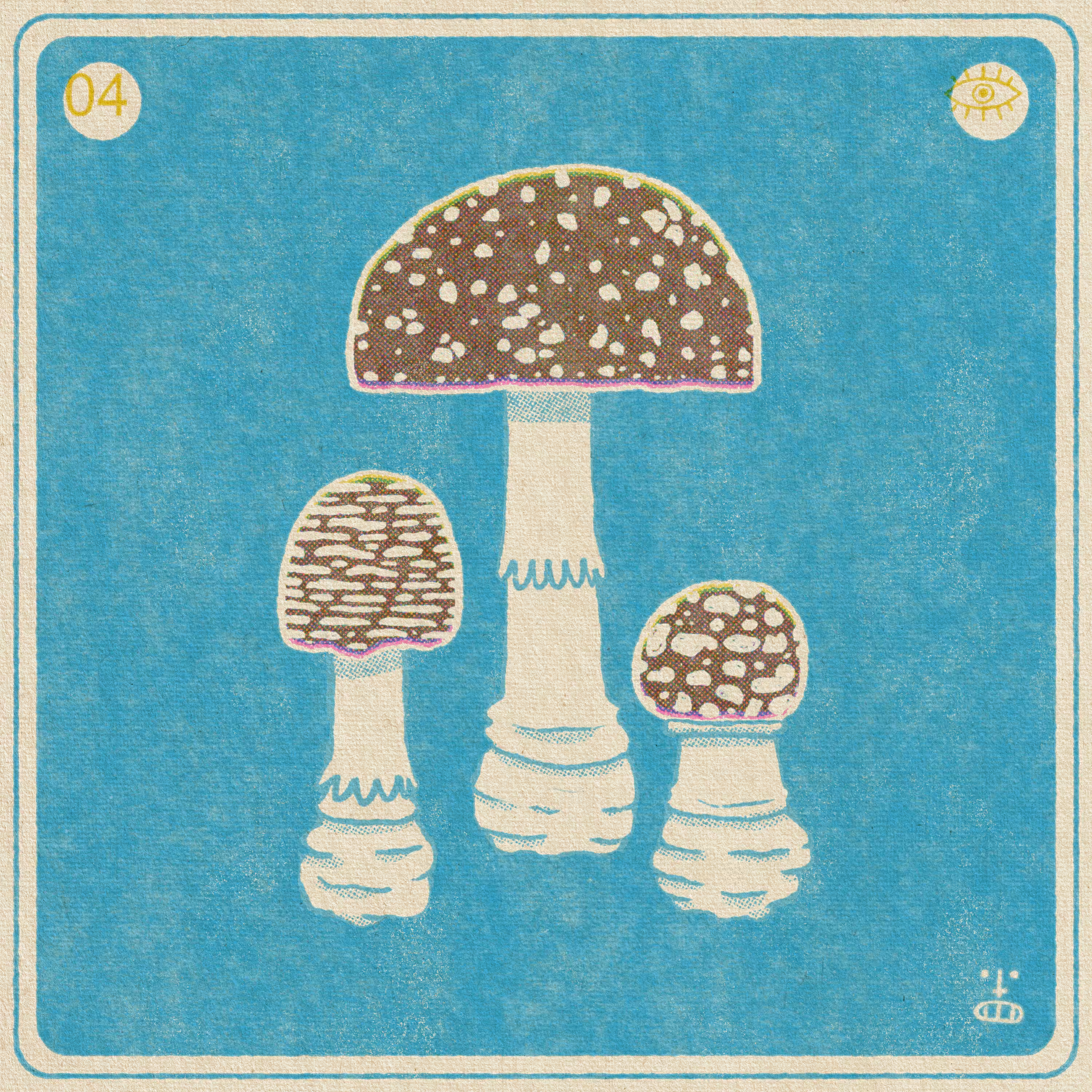 4- Amanita Pantehrina (Panther Cap)