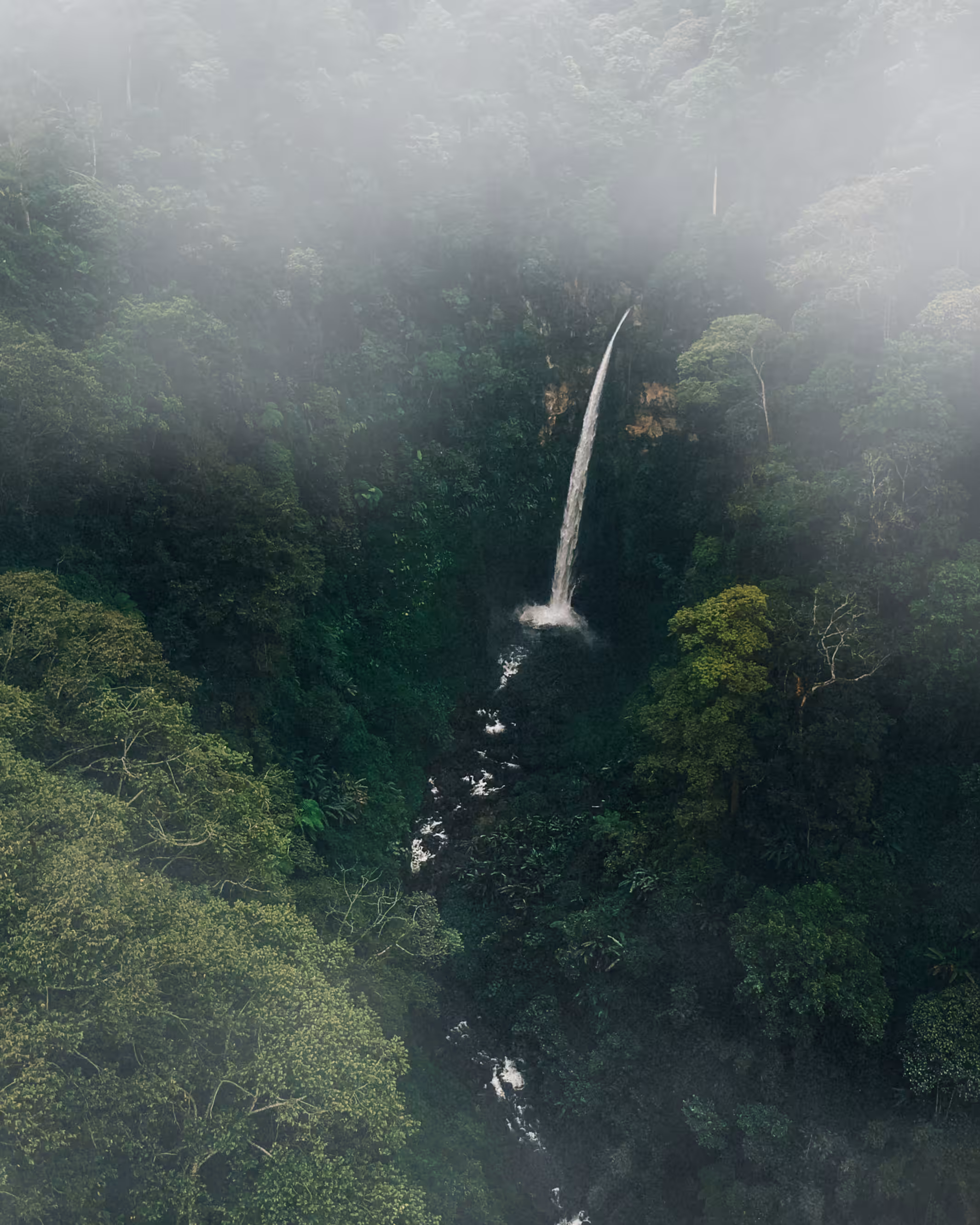 Misty Falls 